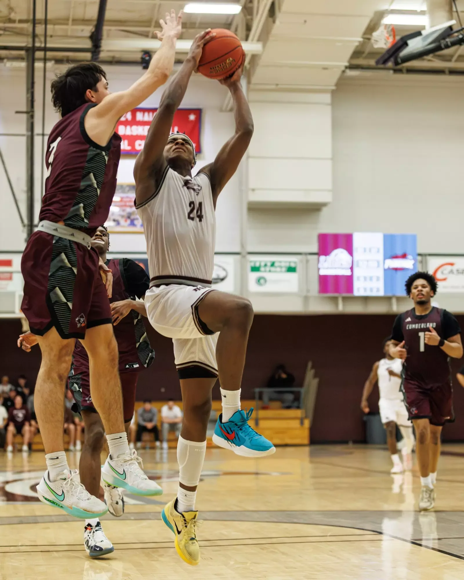 FHU Lions basketball in action