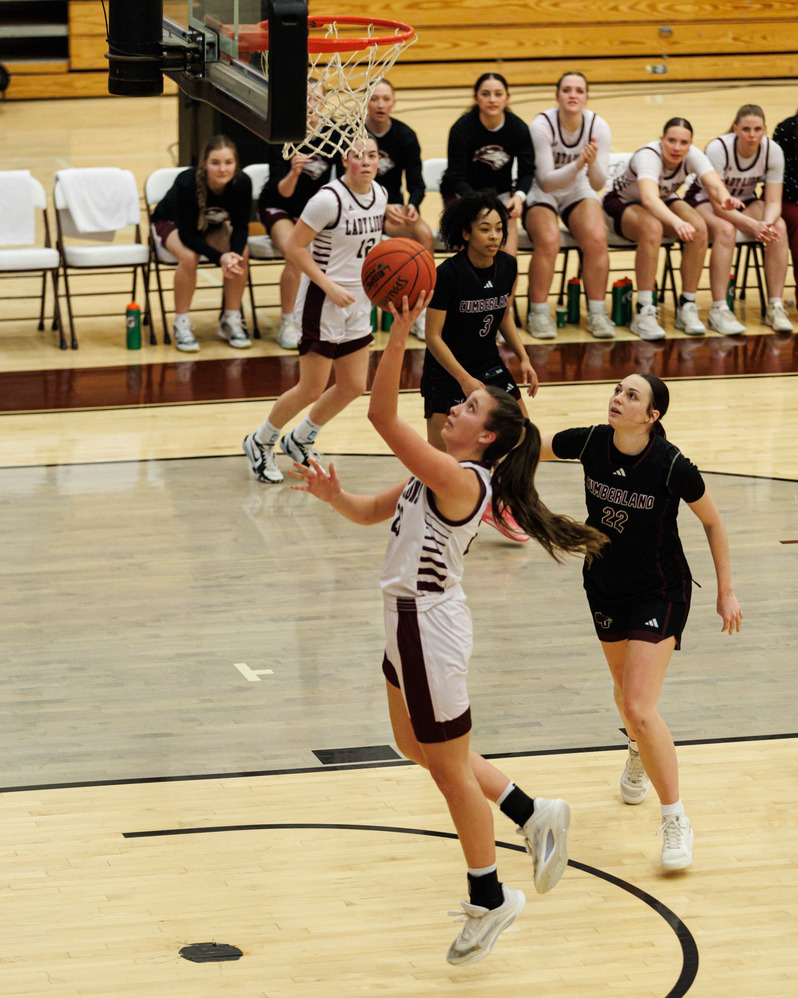 FHU Lady Lion basketball in action