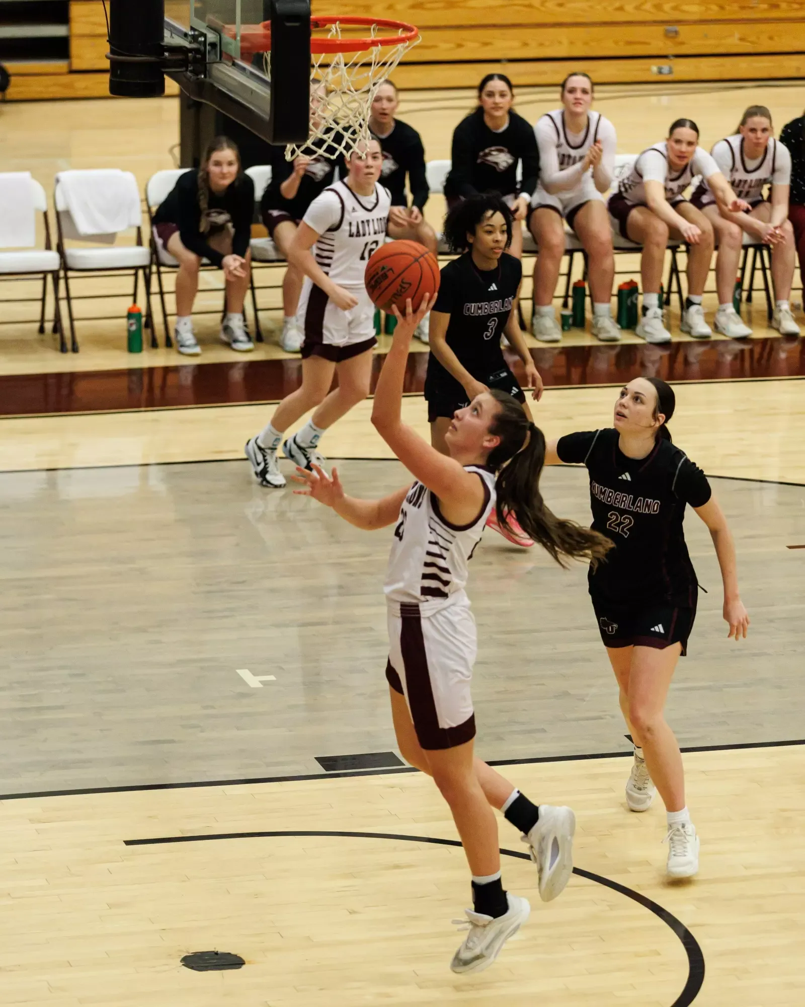 FHU Lady Lion basketball in action