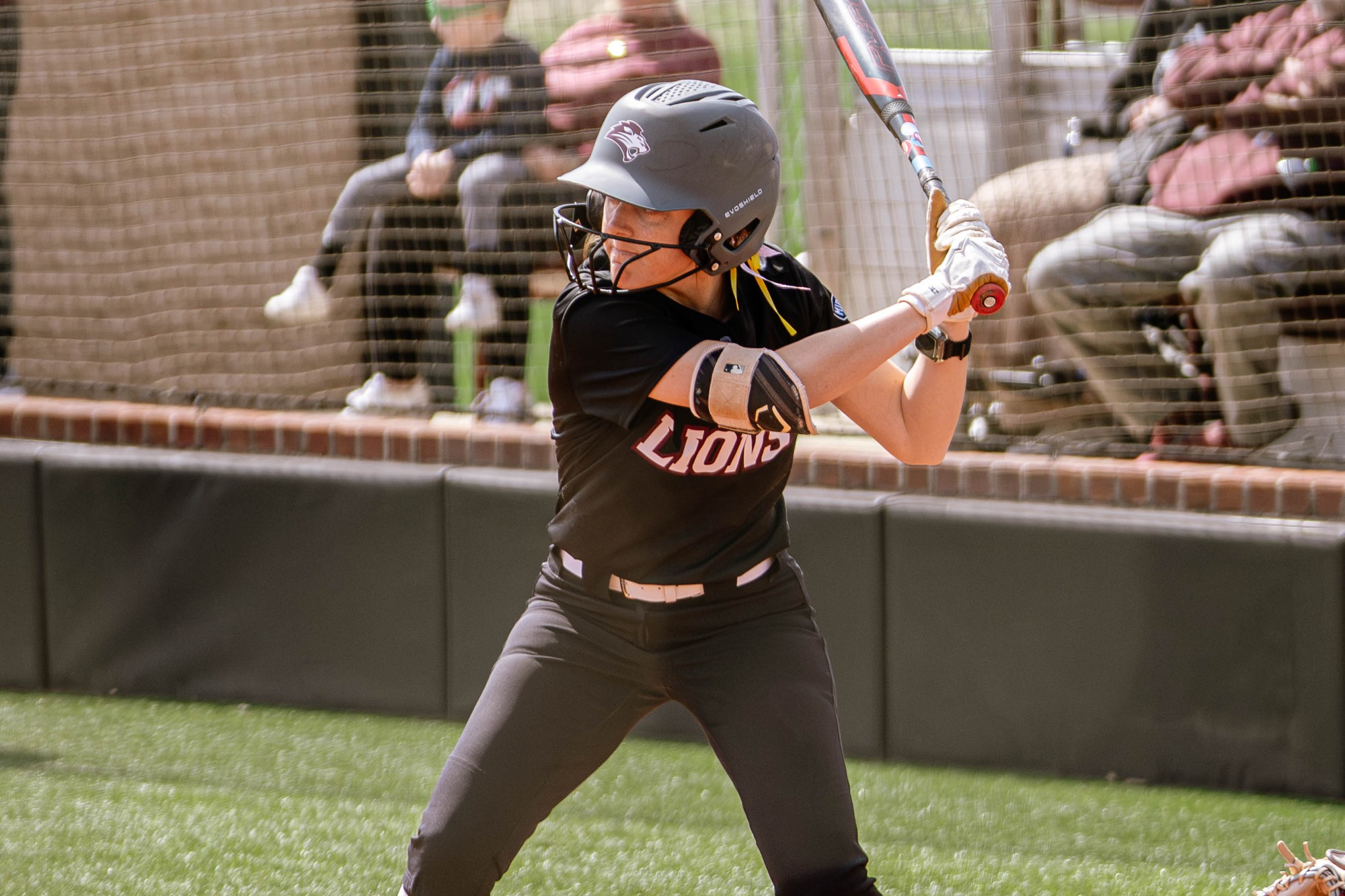 FHU Lady Lions softball in action