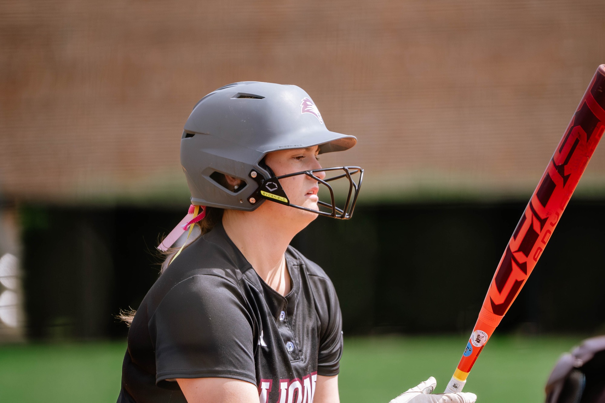 FHU Lady Lions softball in action