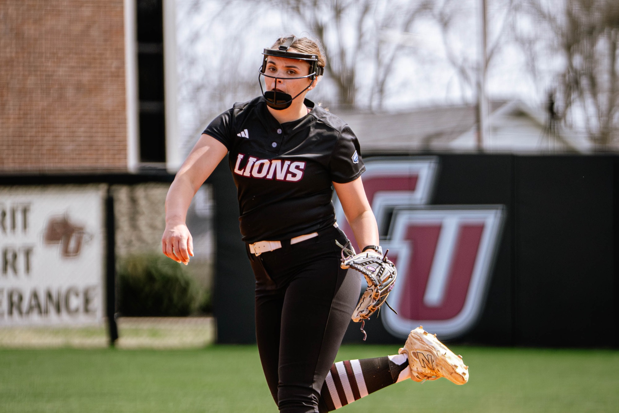 FHU Lady Lions softball in action