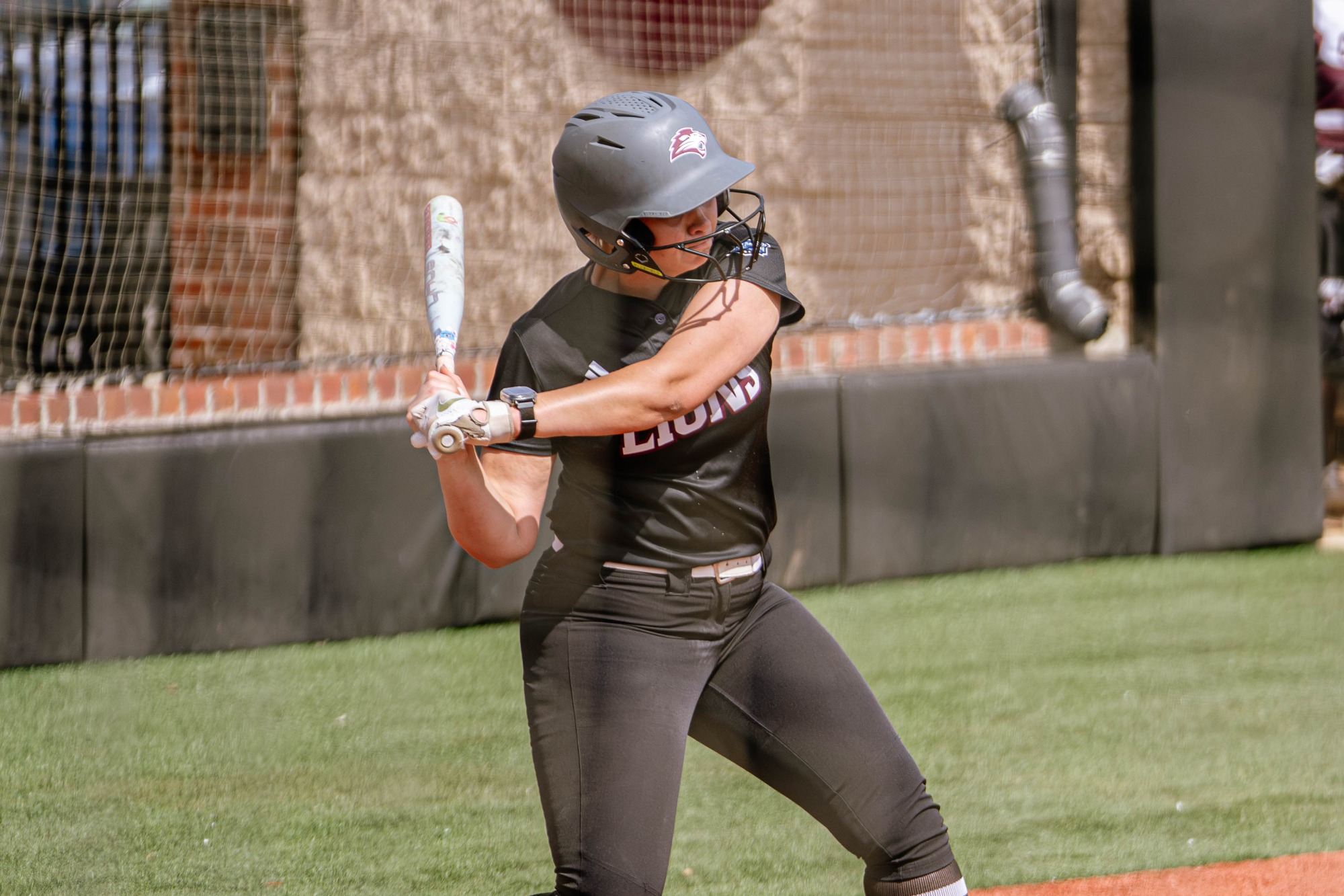 FHU Lady Lions softball in action