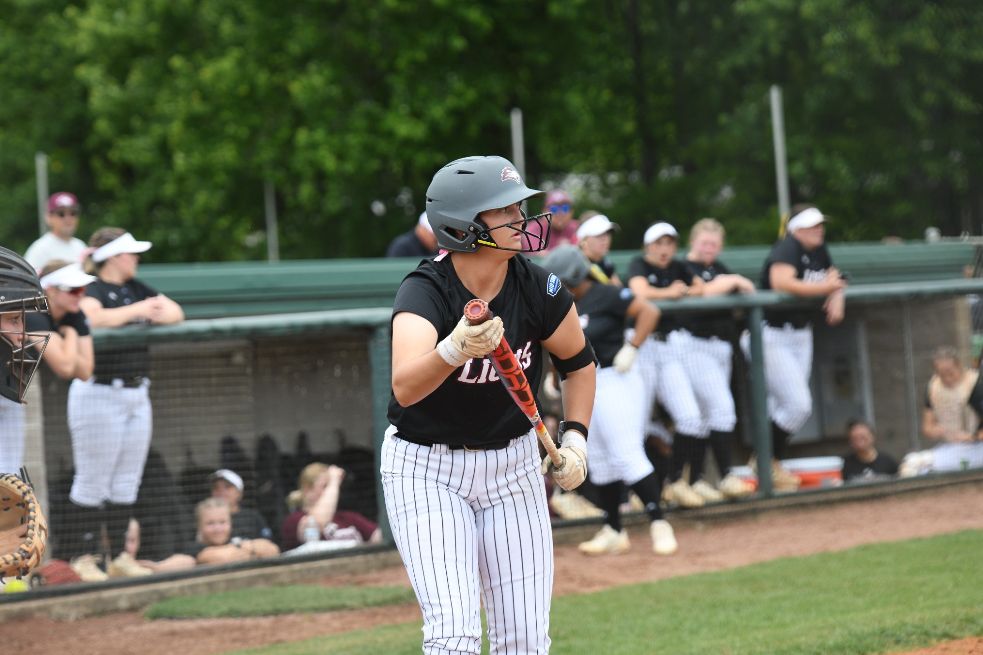 FHU softball in action on Senior Day against Lindsey Wilson