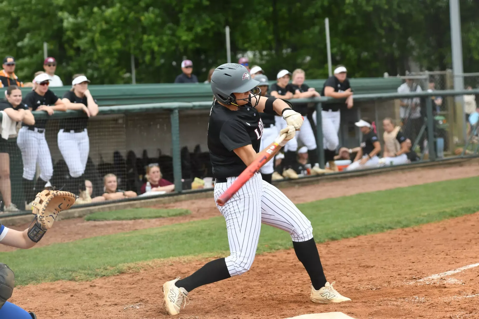 FHU softball in action on Senior Day against Lindsey Wilson