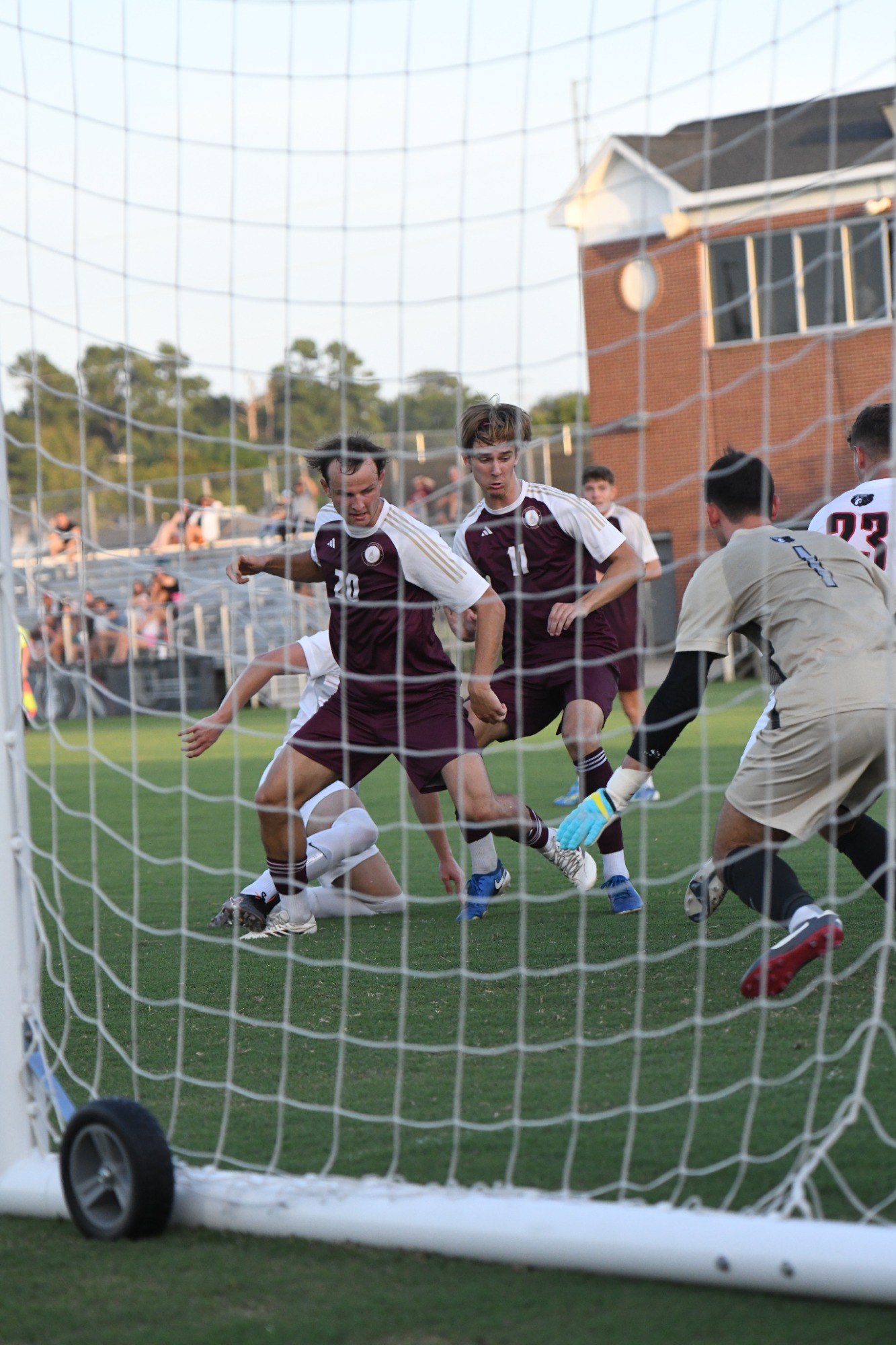Lions soccer in action