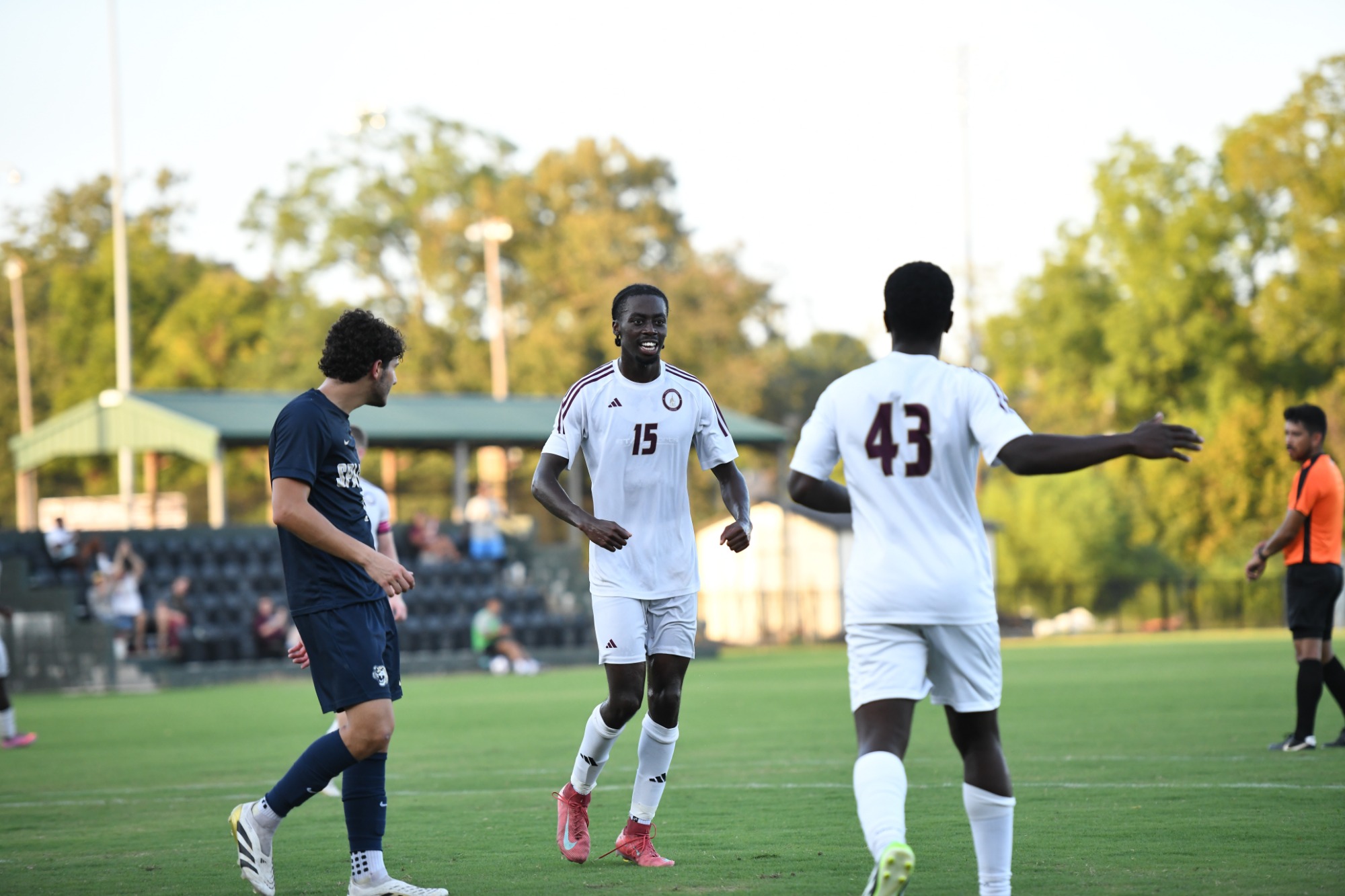 Lions soccer in action