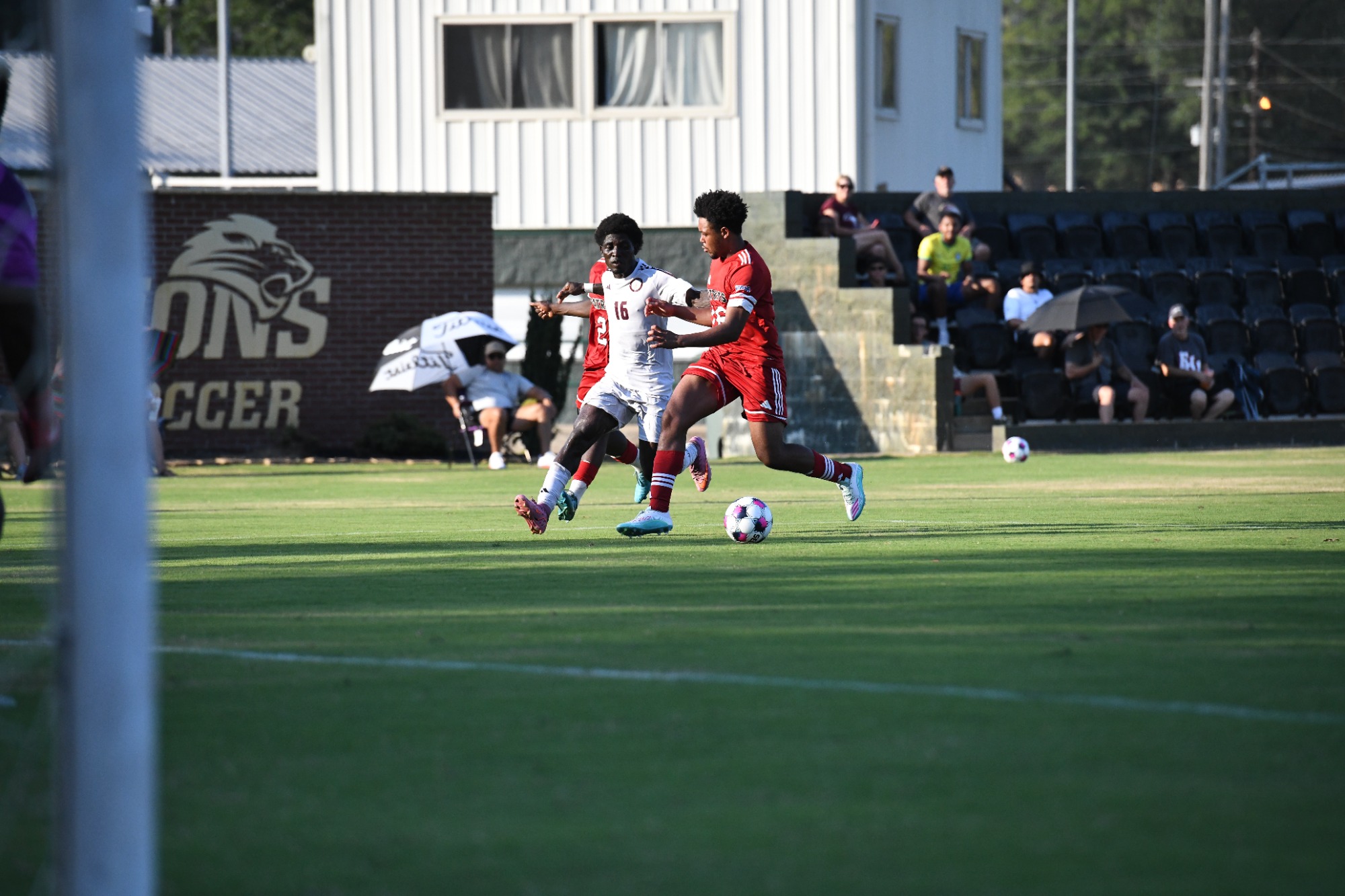 Lions soccer in action