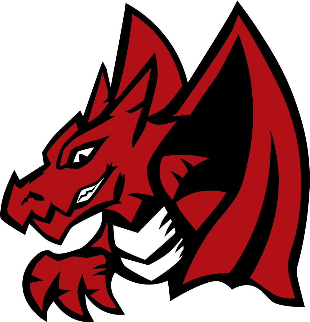 FSDB Dragons Logo only