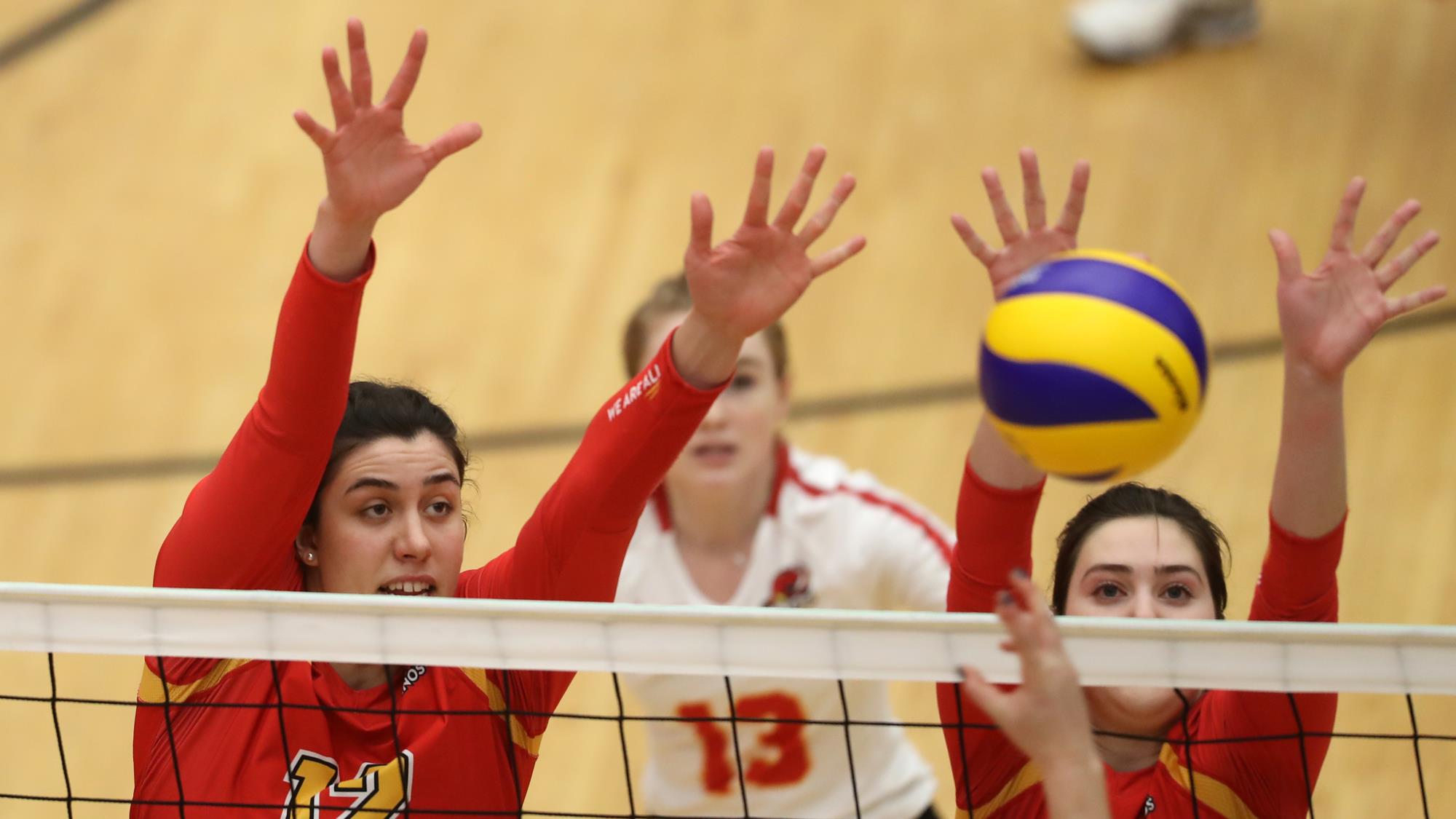 Kenzie Vaandering 201819 Women's Volleyball University of