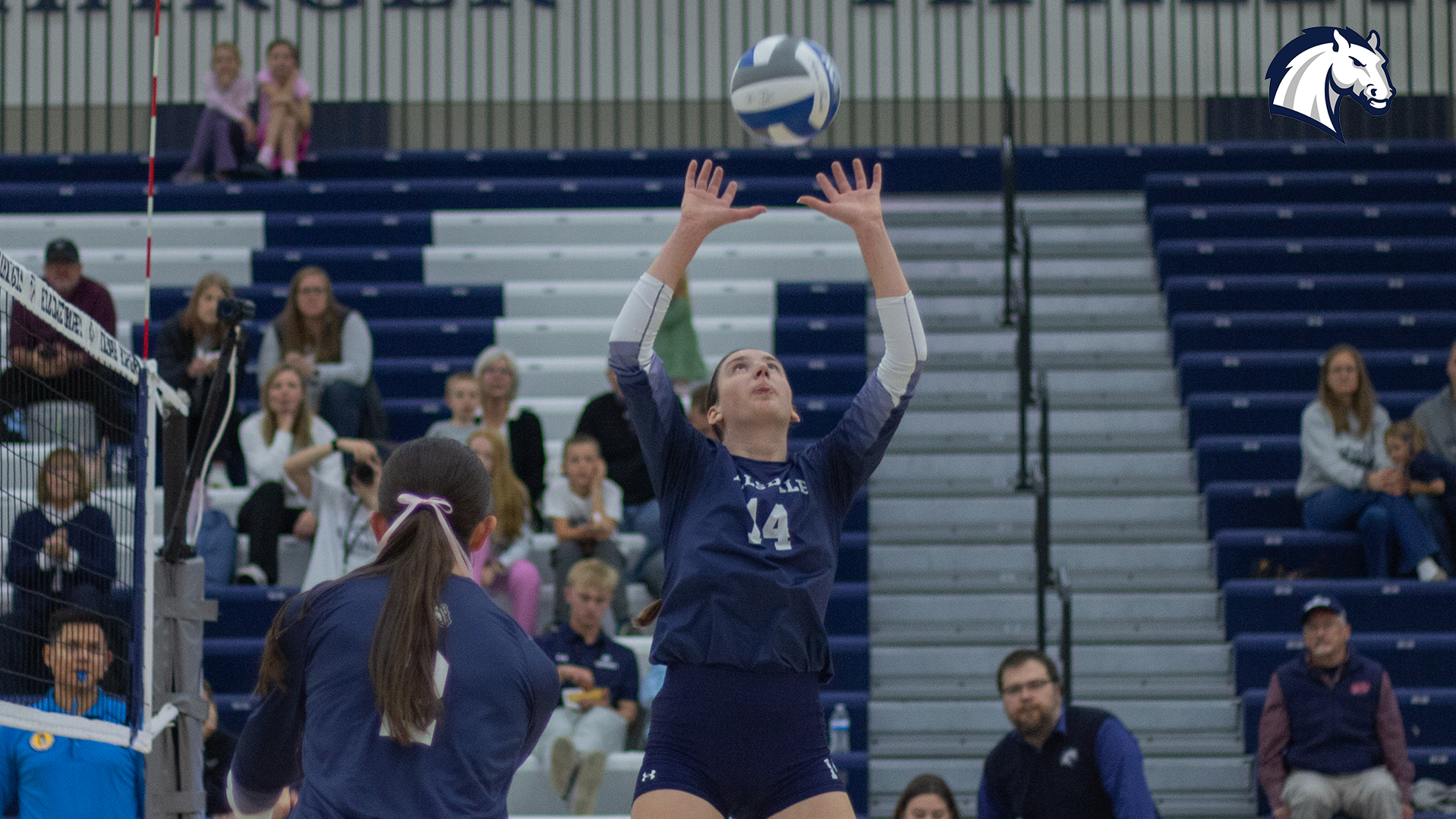 Hillsdale's Grace Drake sets the ball during a match against Walsh on Nov. 7, 2025.