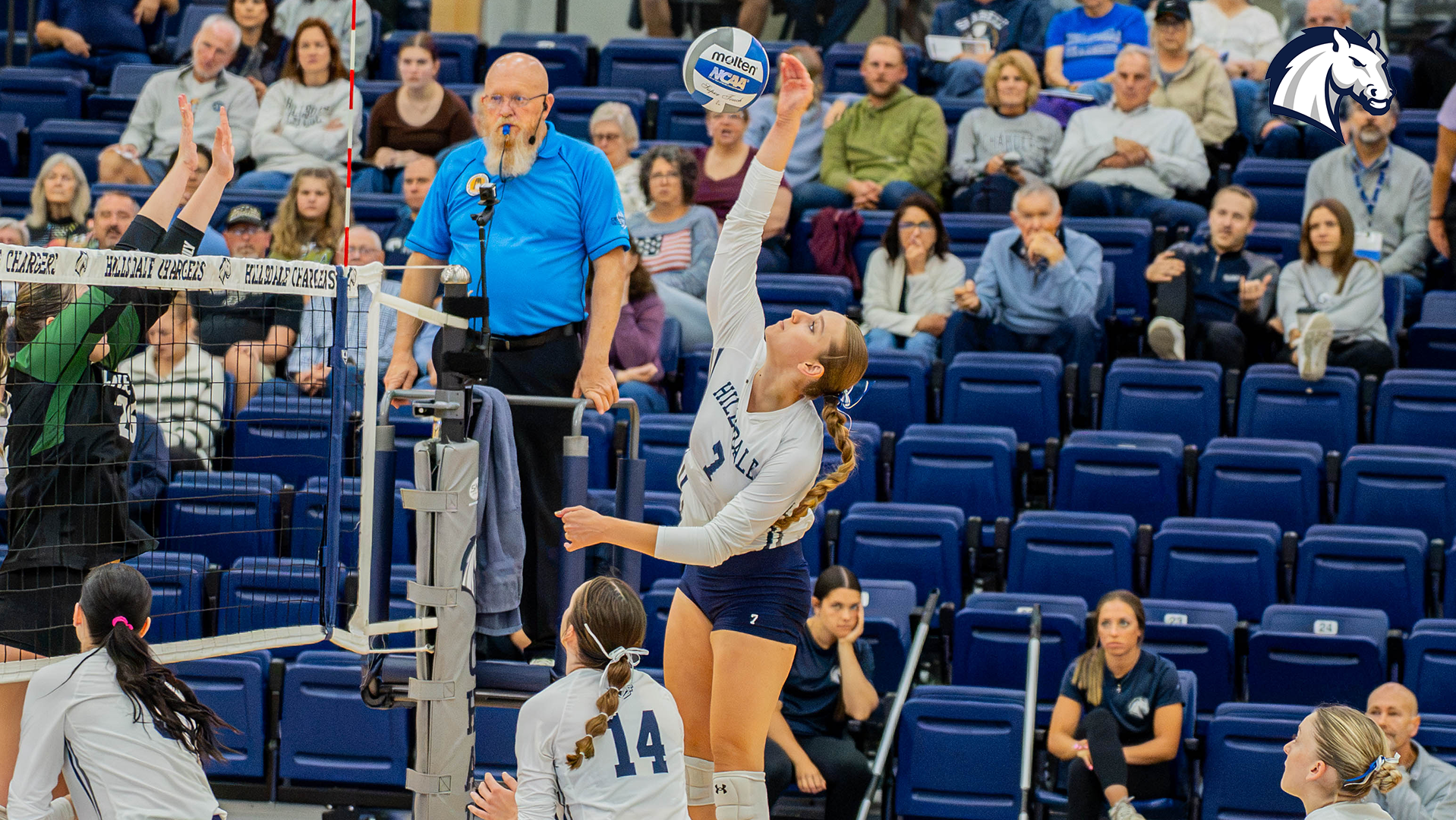Hillsdale's Marcelina Gorny goes for a kill attempt against Lake Erie on Oct. 24, 2026.