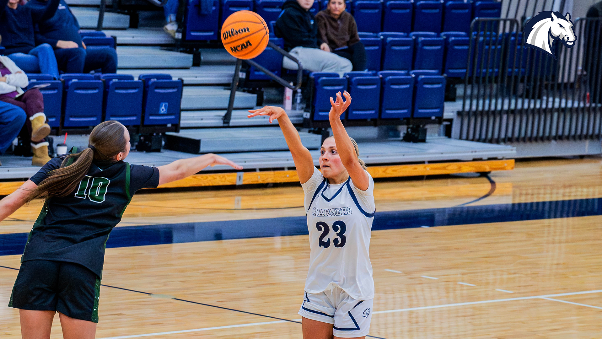 Hillsdale's Annalise Pietrzyk shoots a 3-pointer over the defense of Tiffin during a Feb. 5, 2026 home contest.