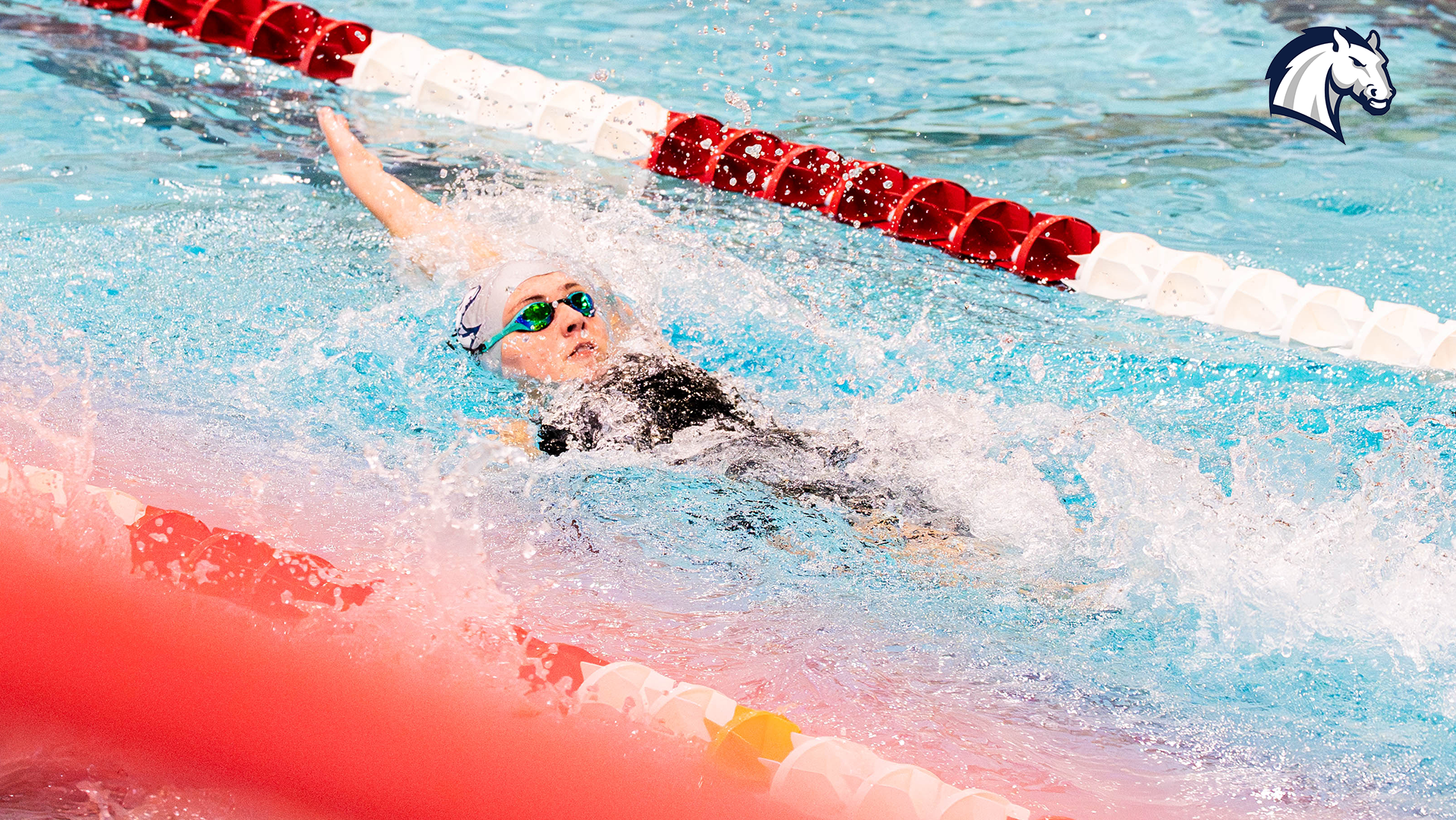 A Hillsdale swimmer competes in the backstroke at the 2026 G-MAC/MEC Championships in Canton, Ohio.
