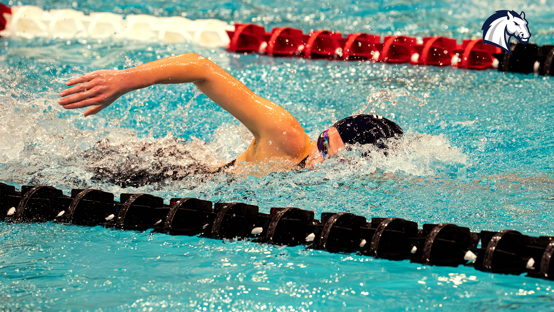 A Hillsdale swimmer competes in the freestyle during the 2026 G-MAC/MEC Championships.