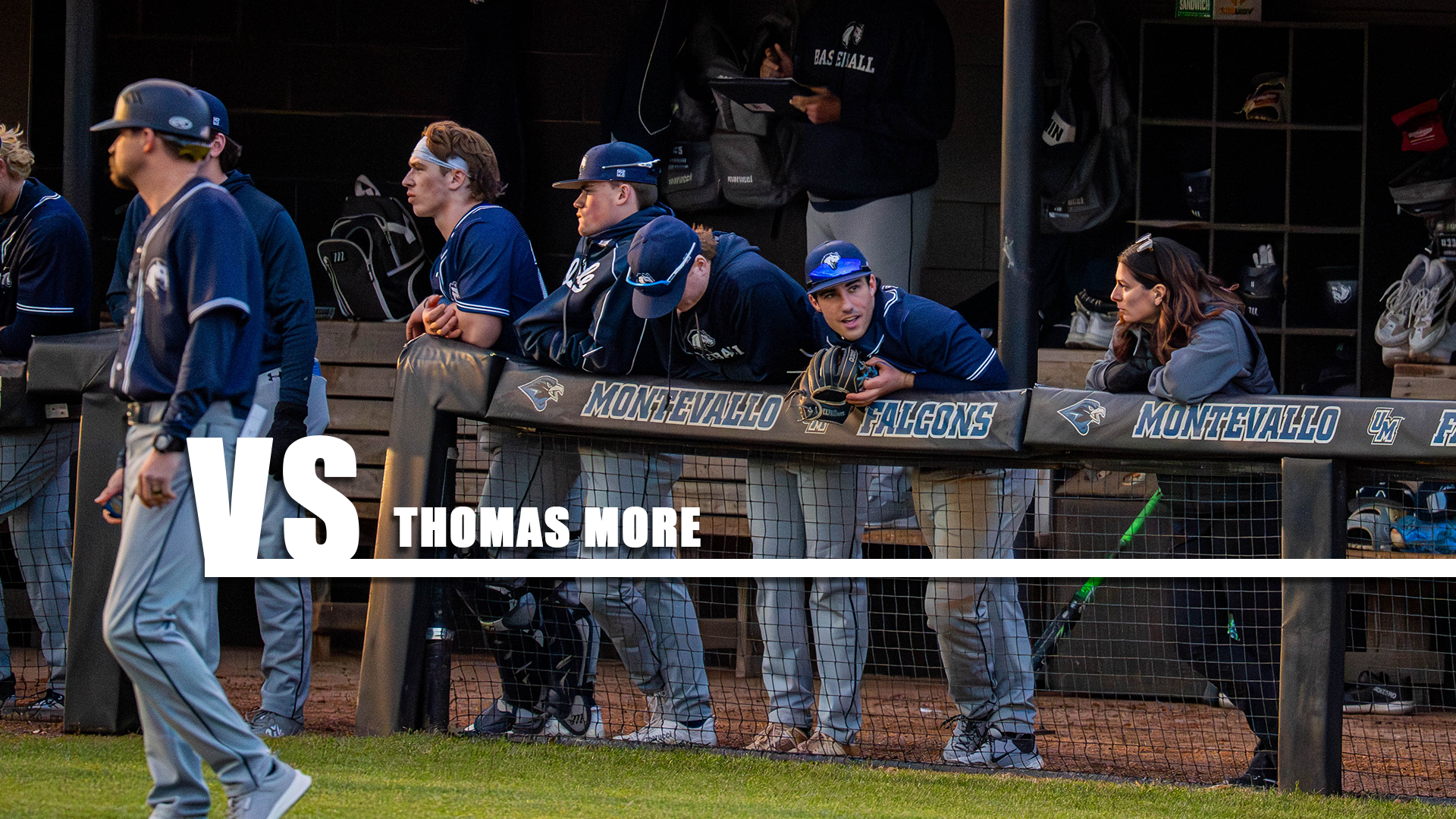 Hillsdale players watch from the dugout during a night game at Montevallo on Jan. 30, 2026.
