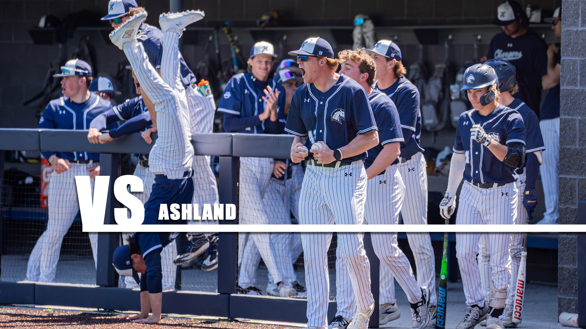 The Chargers bench celebrates a home run against Tiffin on Sunday, April 26, 2026.