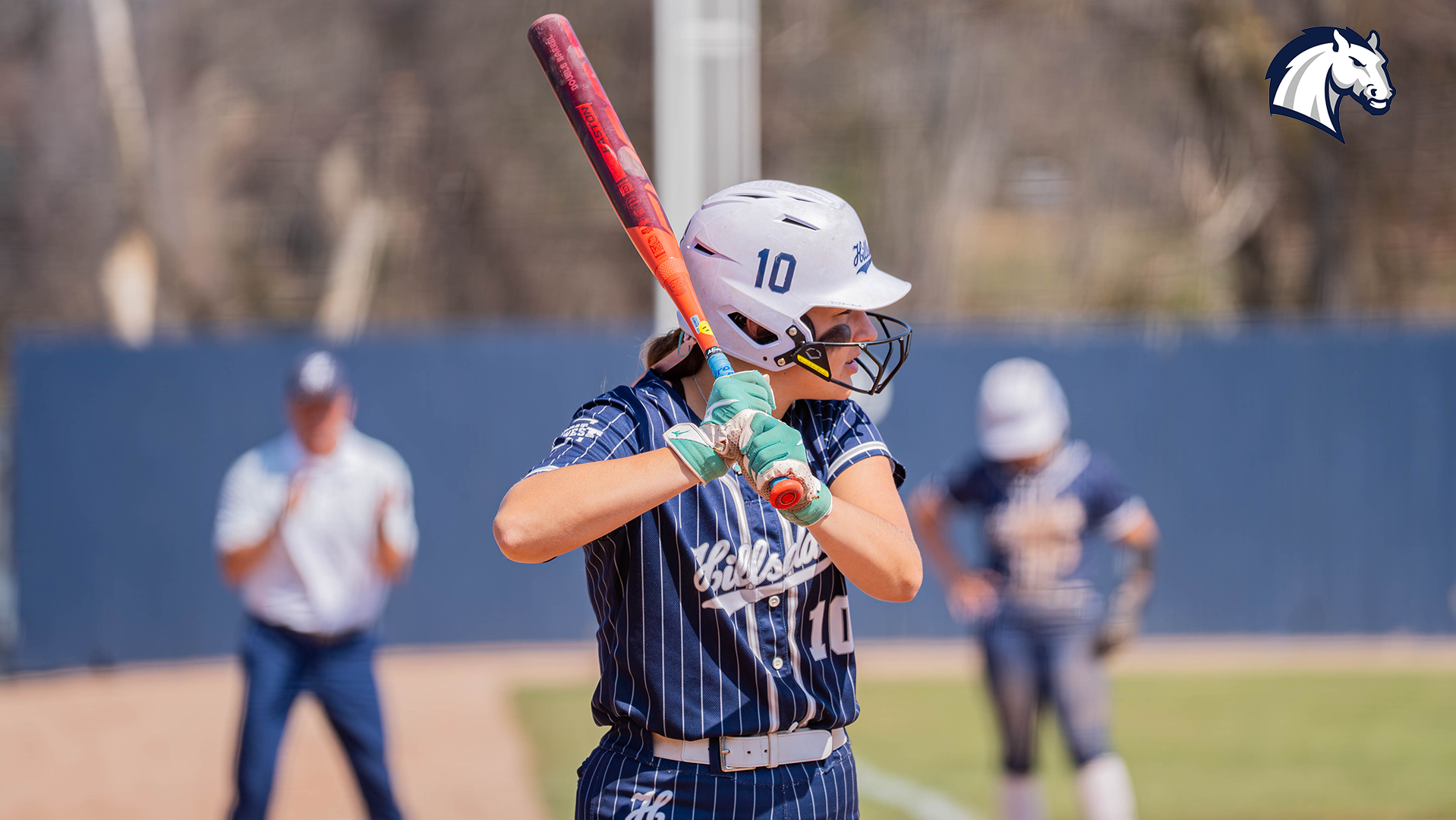 Medleigh Danchak prepares to hit in the batter's box for Hillsdale during a doubleheader against Cedarville on Monday, March 30.