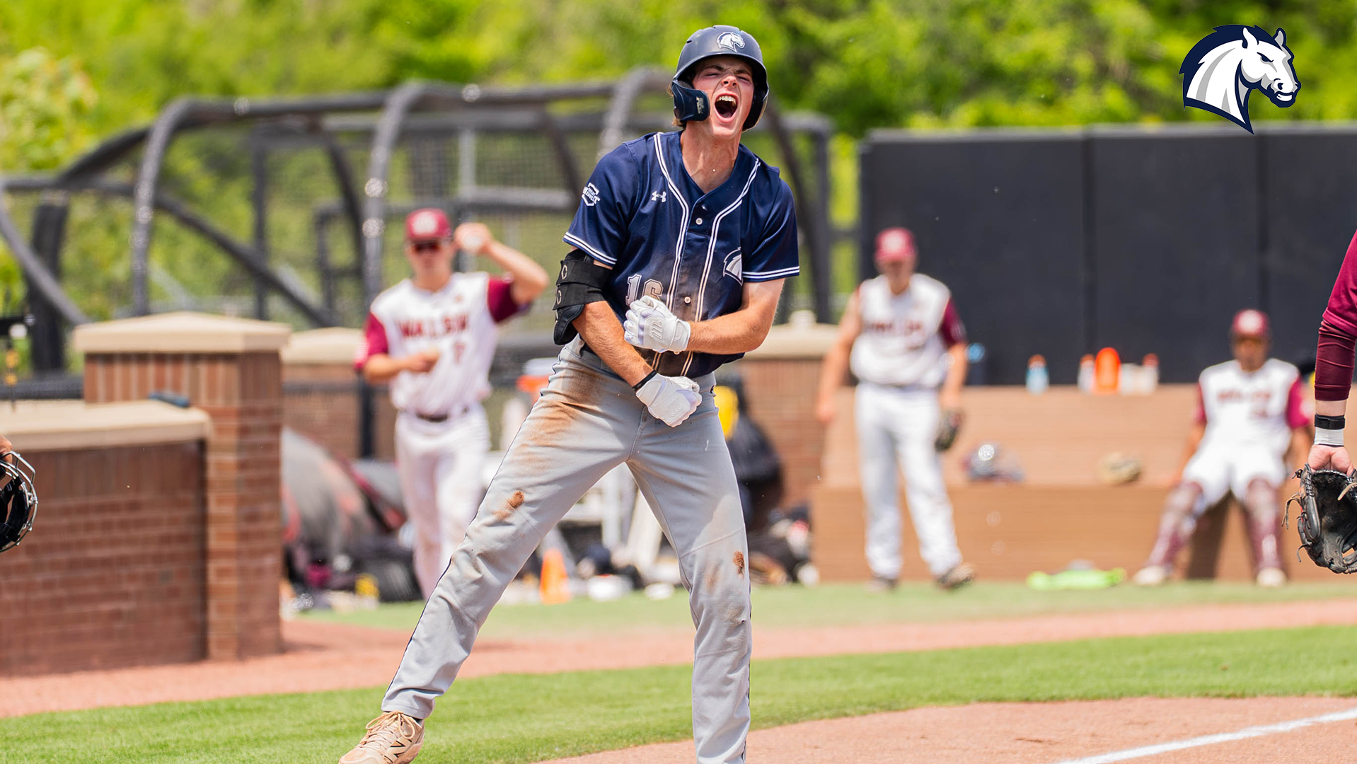 Hillsdale's Gaard Swenson celebrates after hitting a triple in a G-MAC Tourney contest against Walsh on May 6, 2026 at Prasco Park.