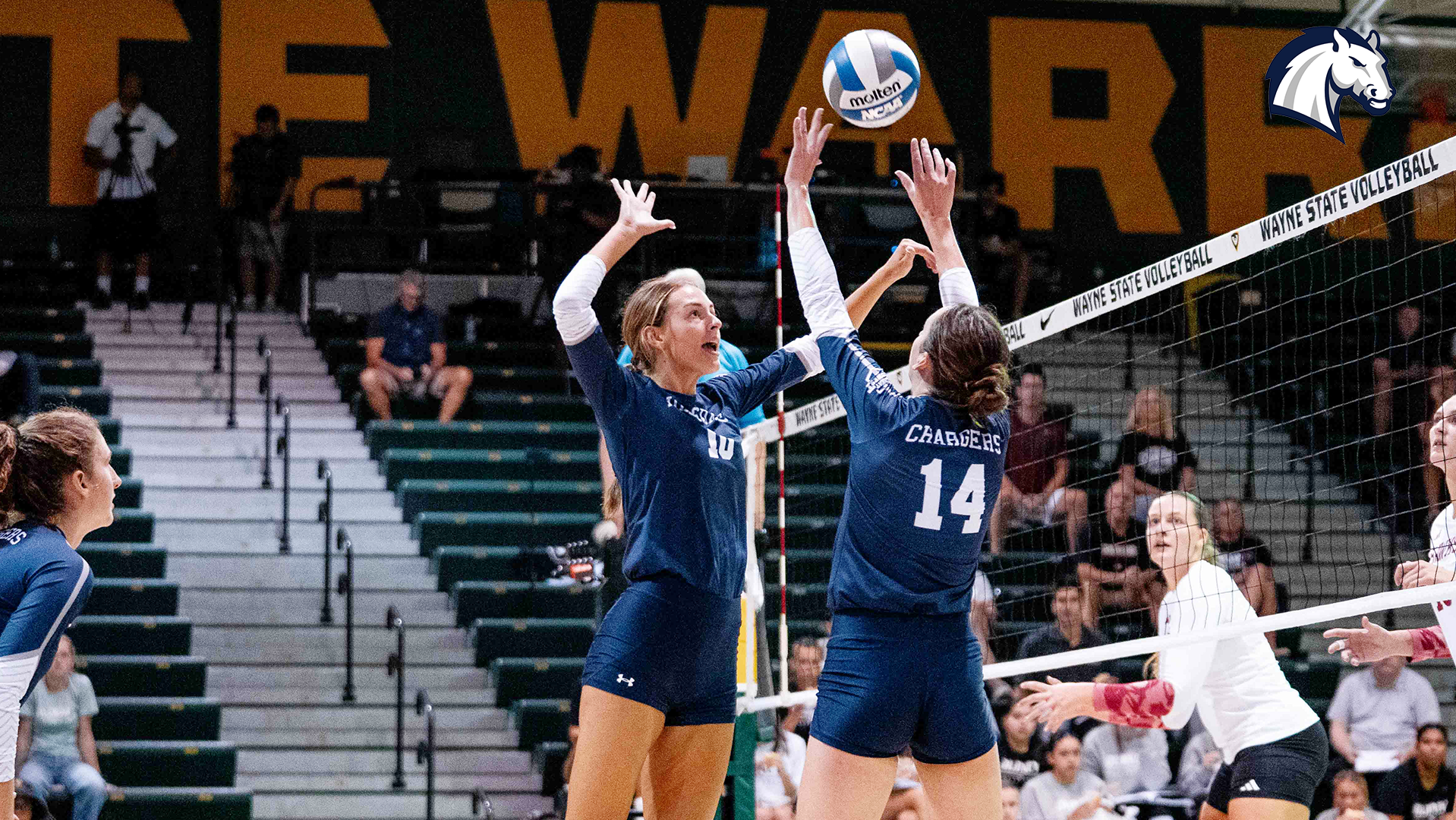 Hillsdale's Grace Drake (14) sets Ella Vandermark (10) at the net during a match against Indiana (PA) on Aug. 28, 2026.