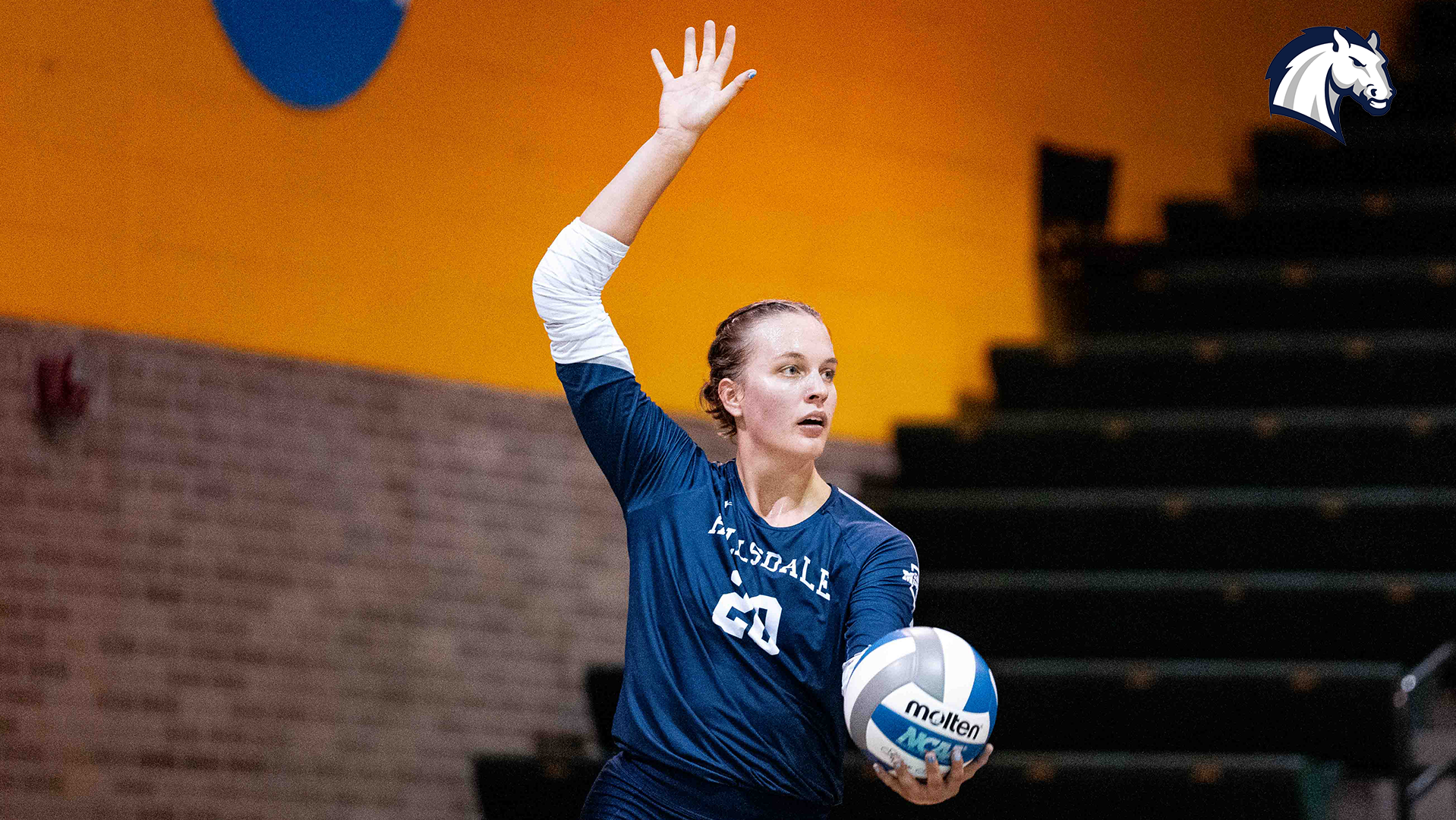 Hillsdale's Ellie Fles prepares to serve during a match against Indiana (PA) on Friday, Aug. 31, 2026.