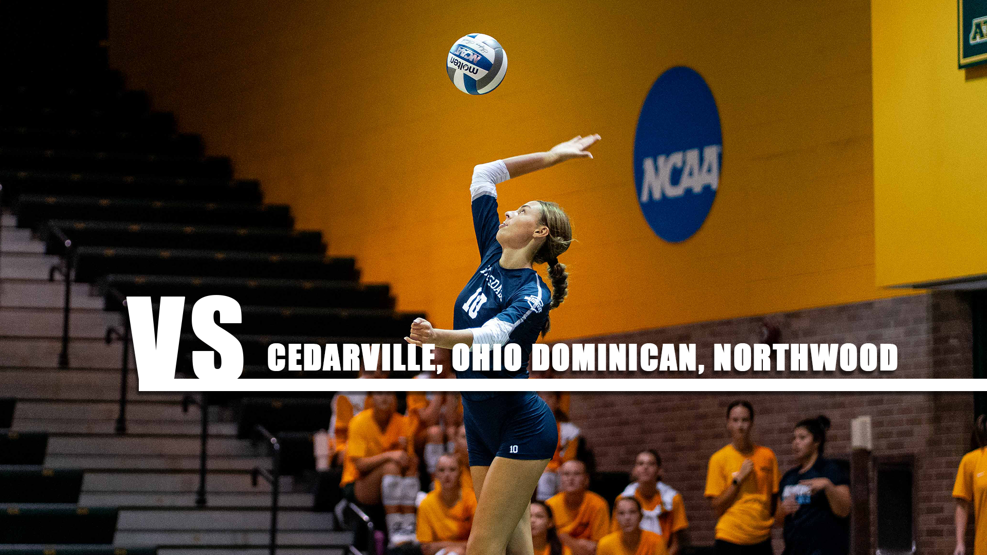 Hillsdale's Ella Vandermark (10) serves the ball in a match against Indiana (PA) on Aug. 28, 2026.