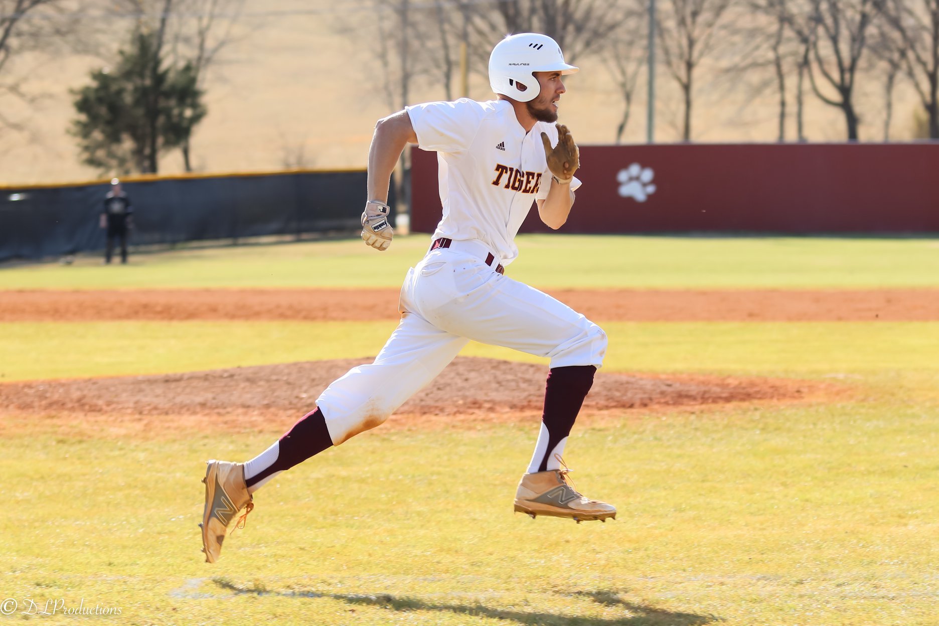 Tyler Meroney Baseball Hiwassee College Athletics