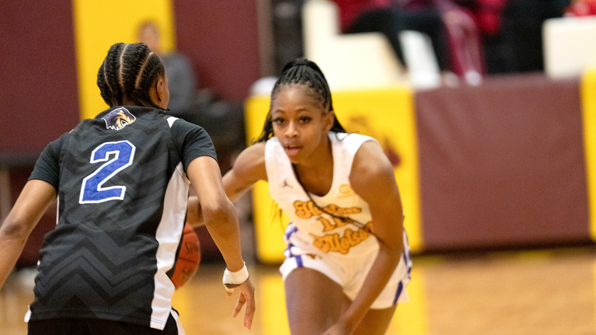 HT Women's Basketball player Destiny Stanford looks to dribble past a Paul Quinn defender