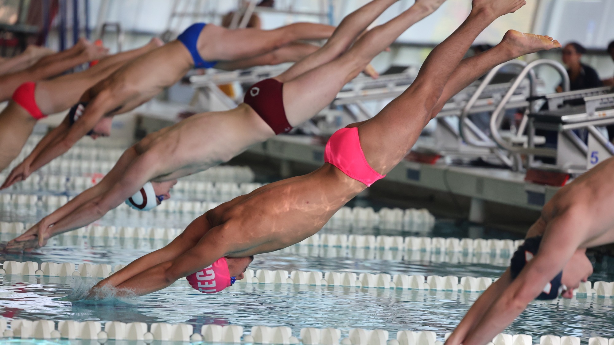 Men's swimming and diving at UChicago Triangular
