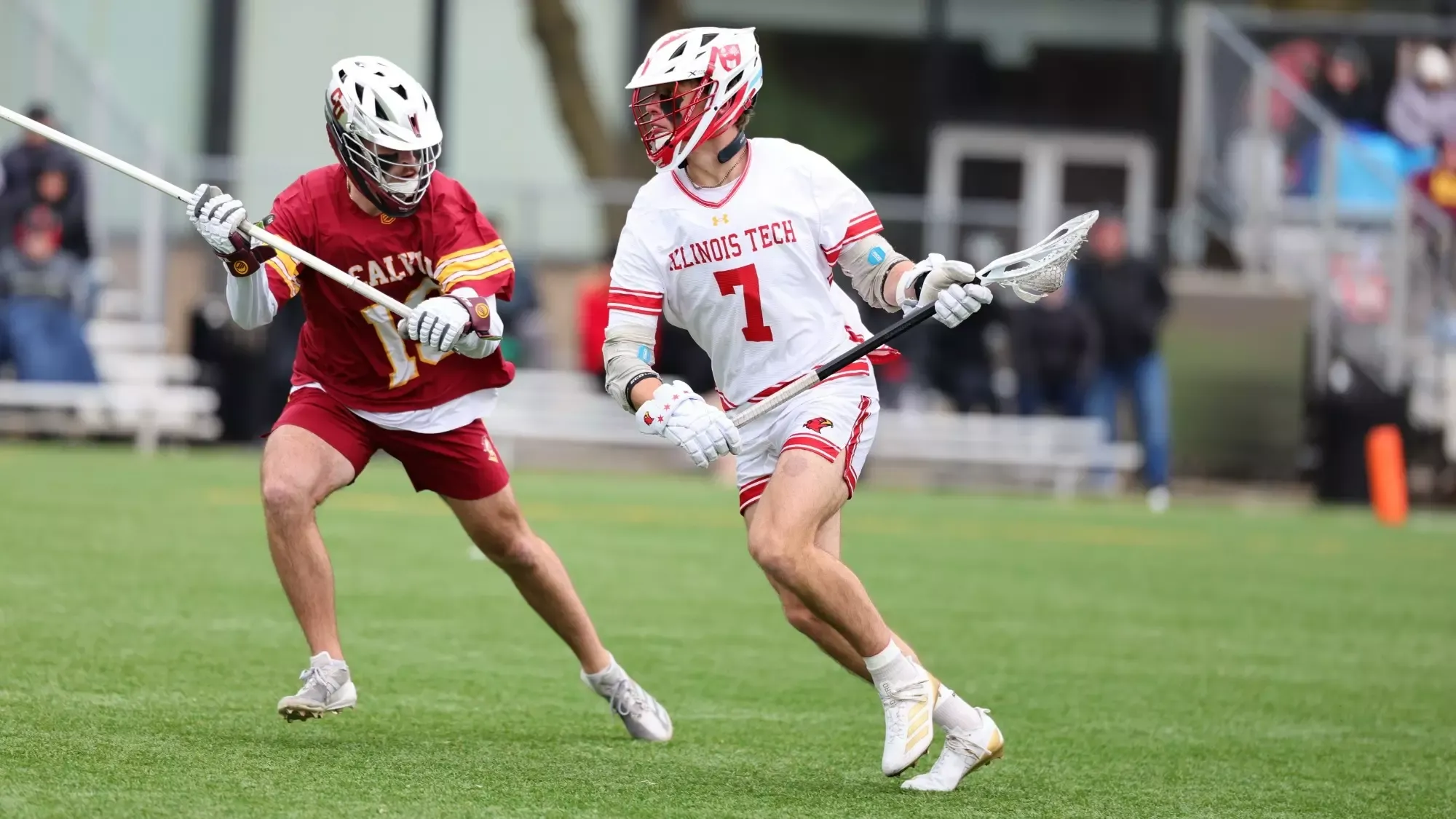 Connor Montgomery vs Calvin Feb 2026