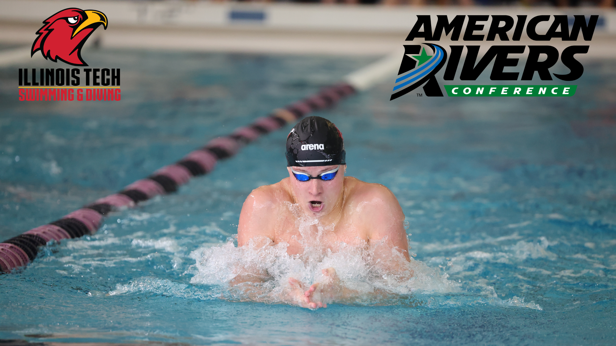 swimming and diving arc cover photo 9-1-26