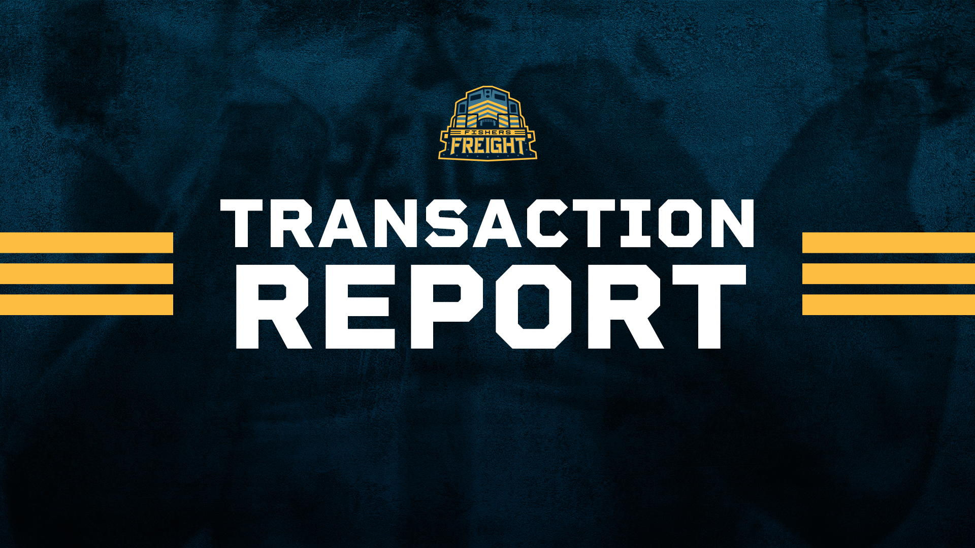 transaction report graphic