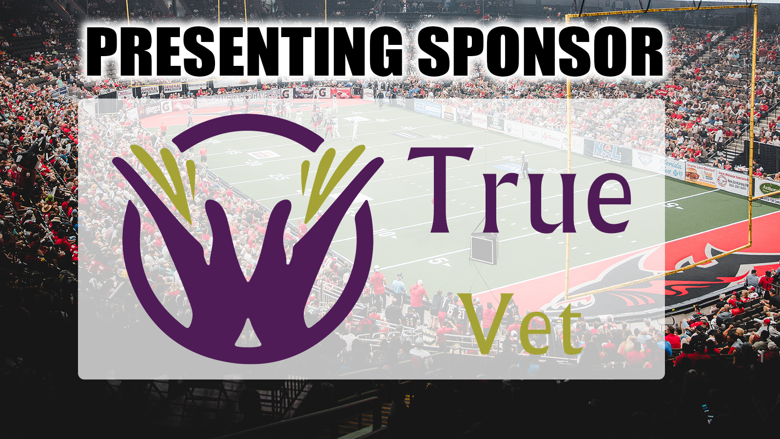 Sharks Announce 2025 Coaching Staff Jacksonville Sharks