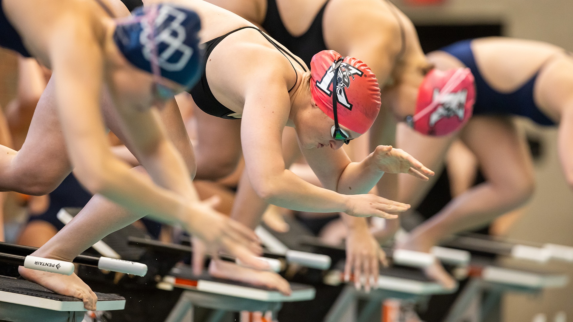 Swimmers on the starting block