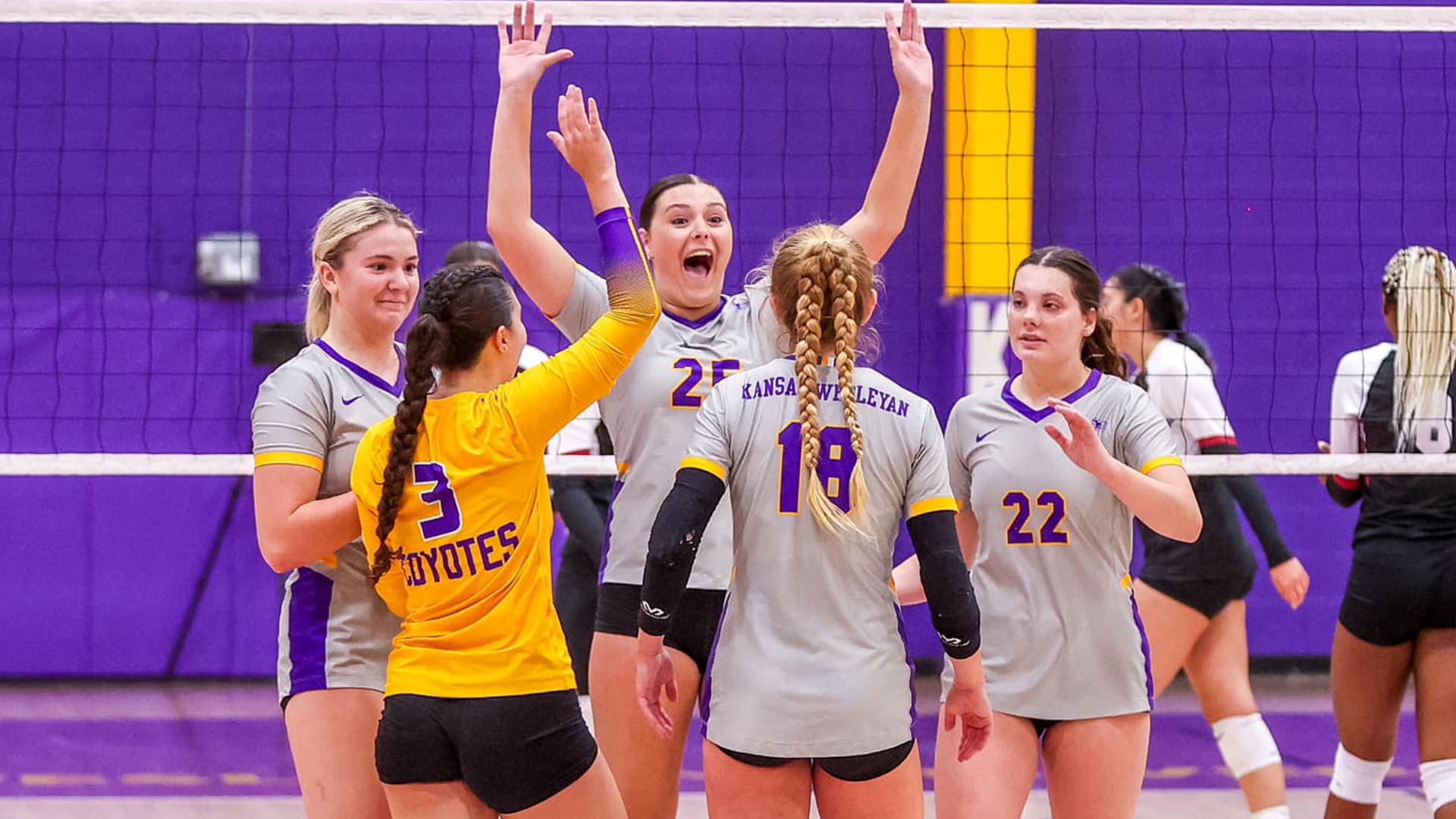 developmental women's volleyball