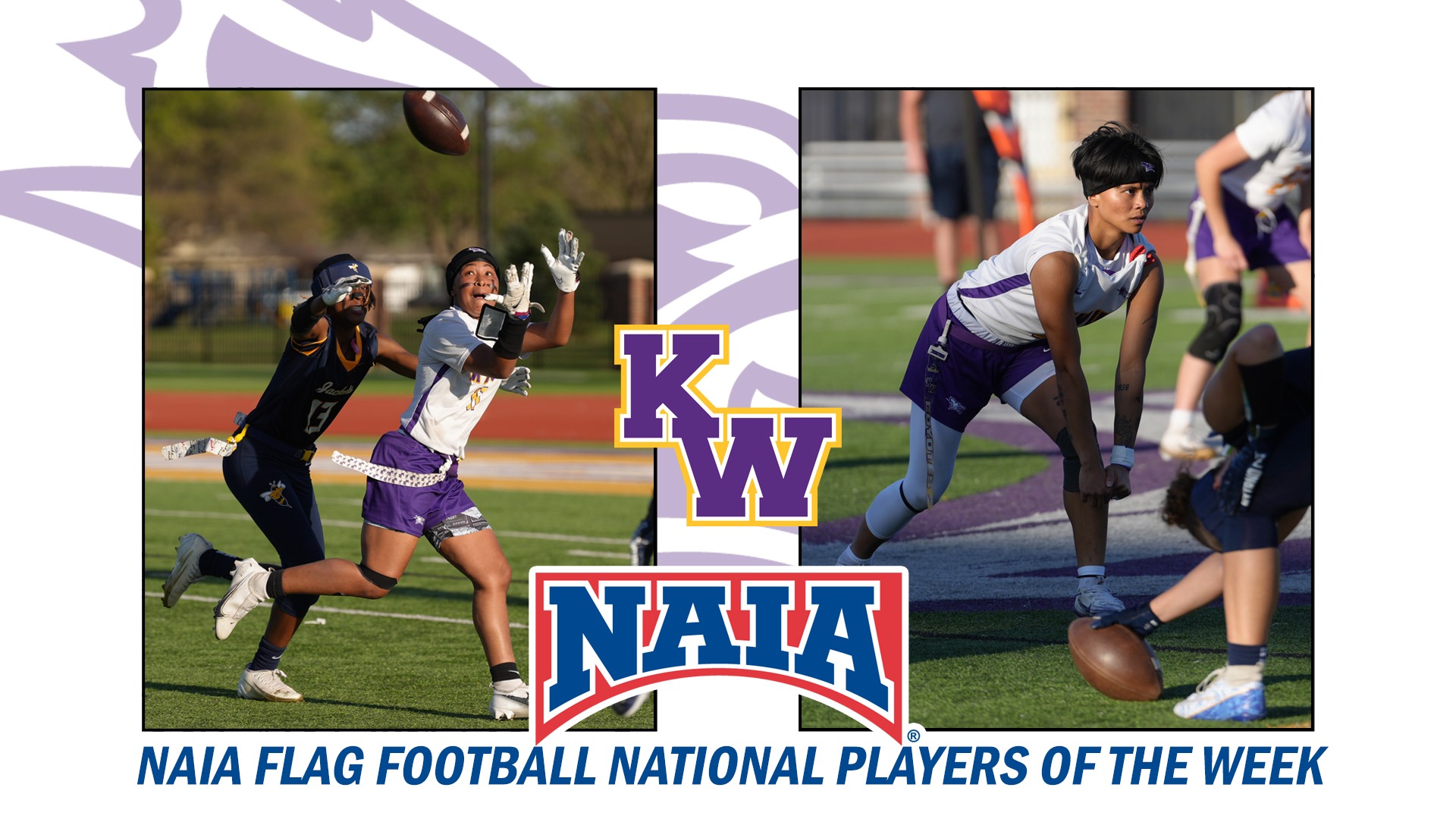 flag naia pow