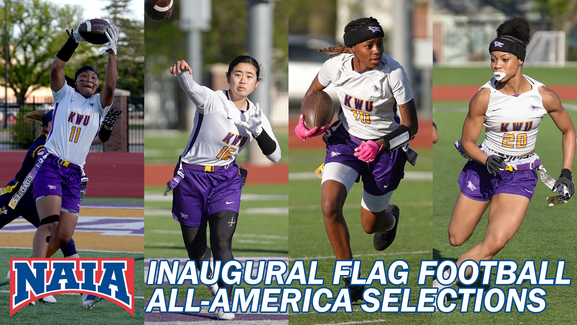 flag all america