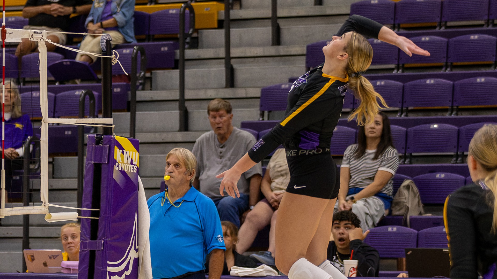 volleyball