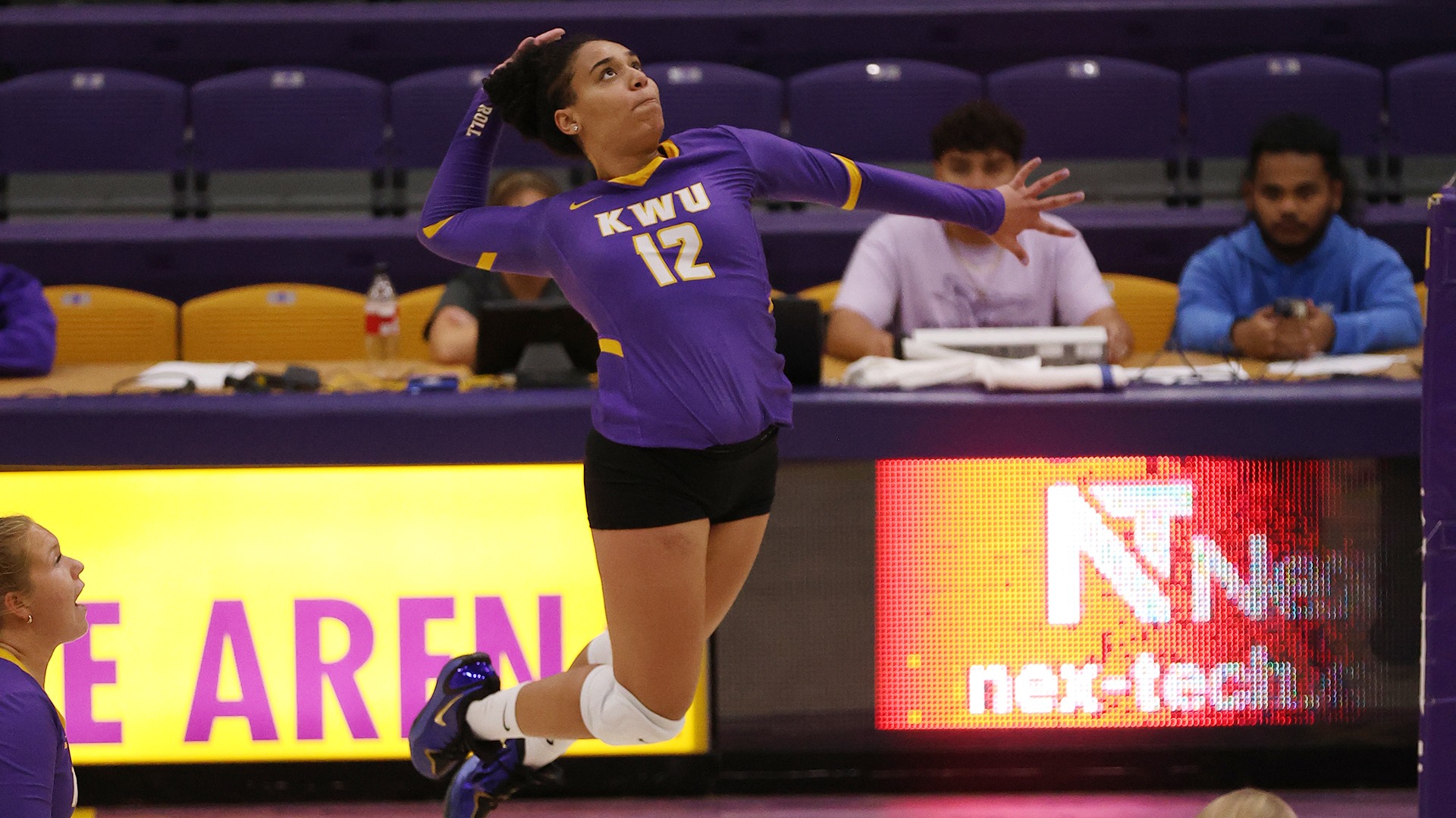 volleyball
