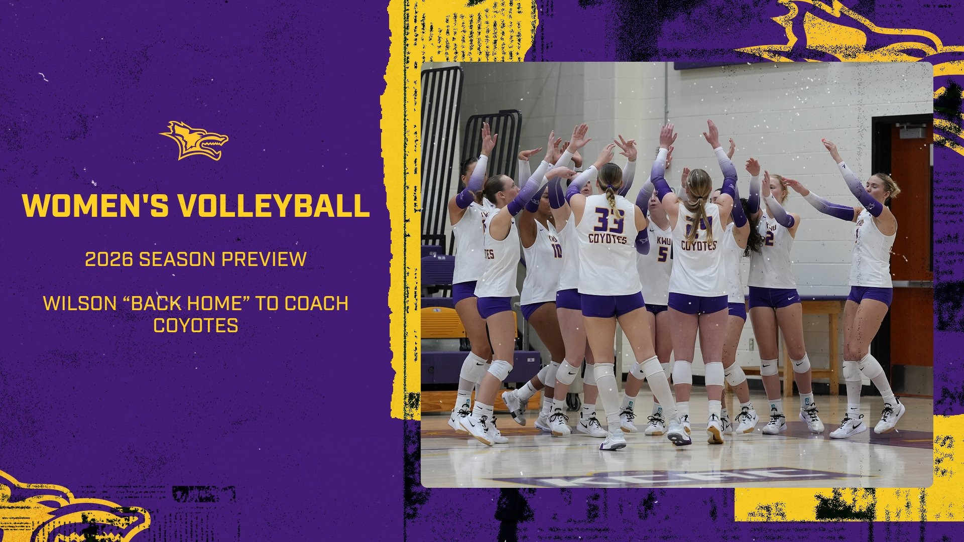 womens volleyball season preview