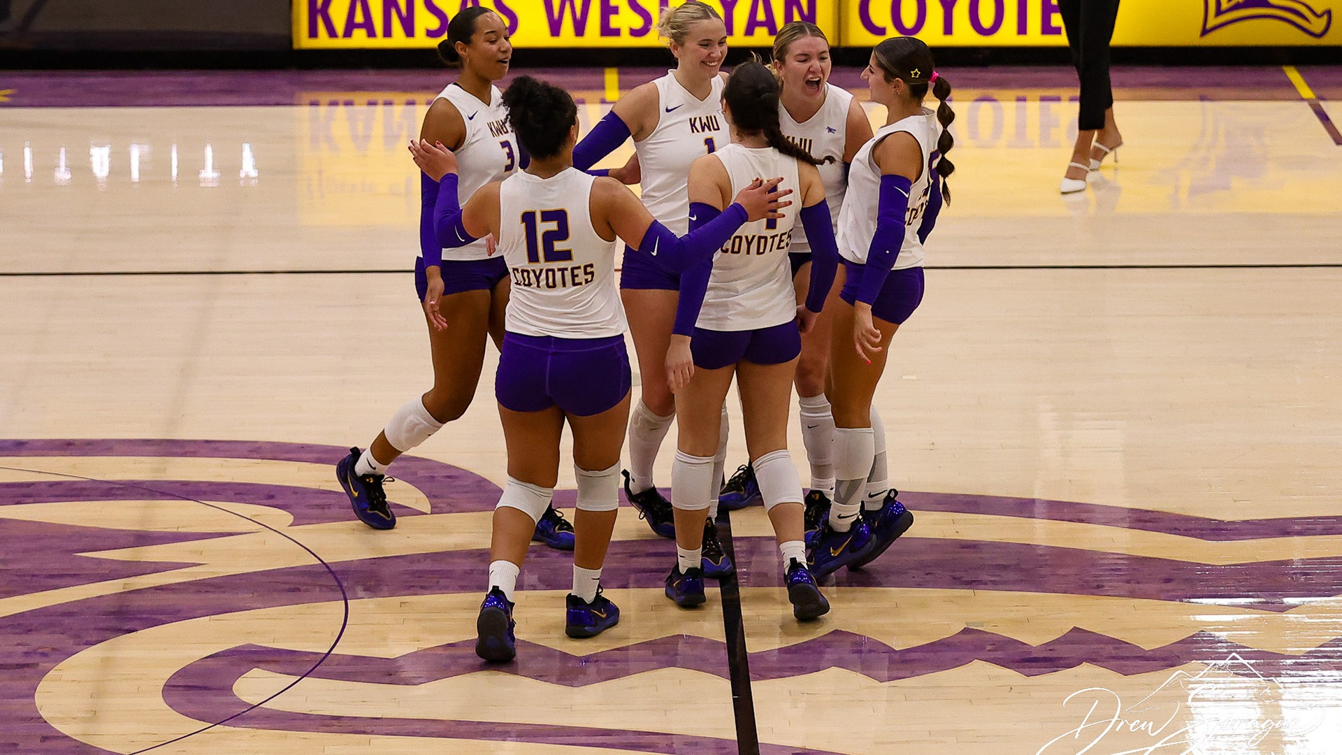 volleyball