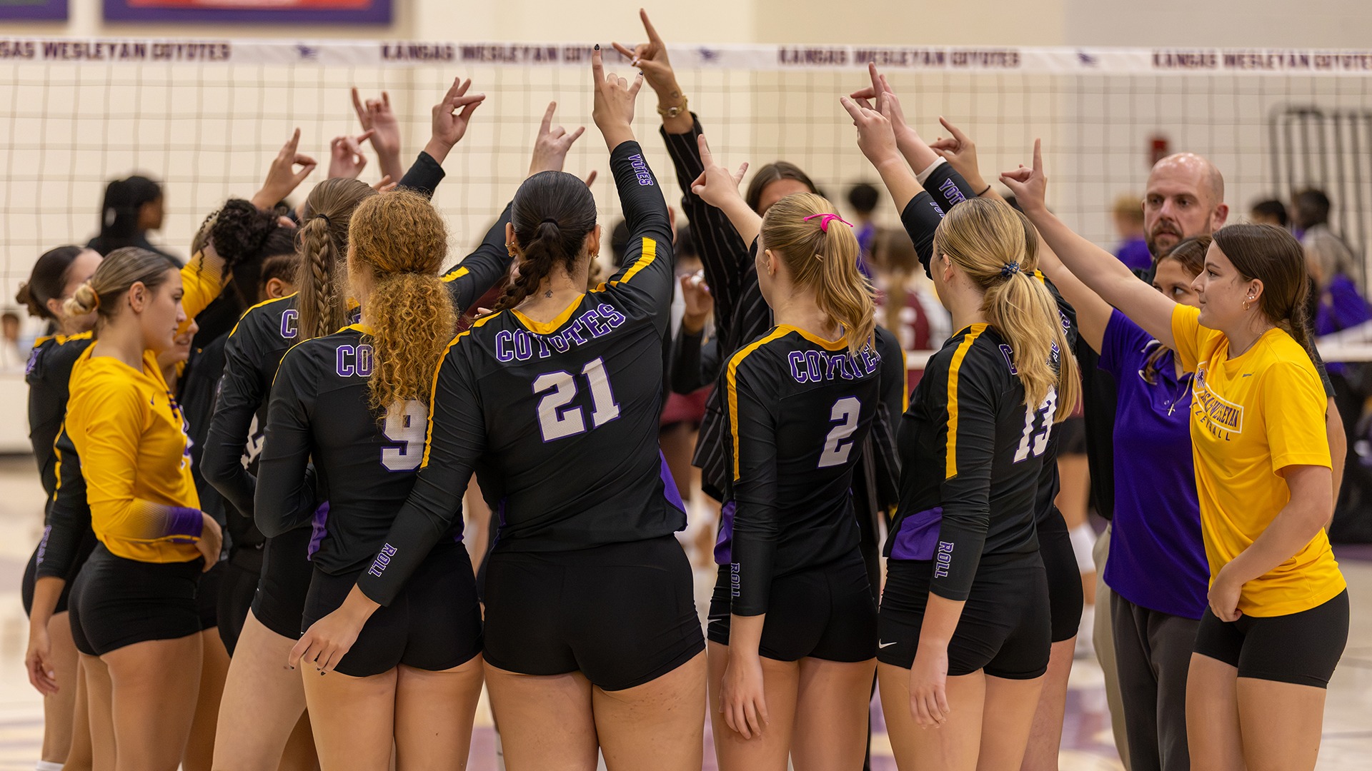 volleyball