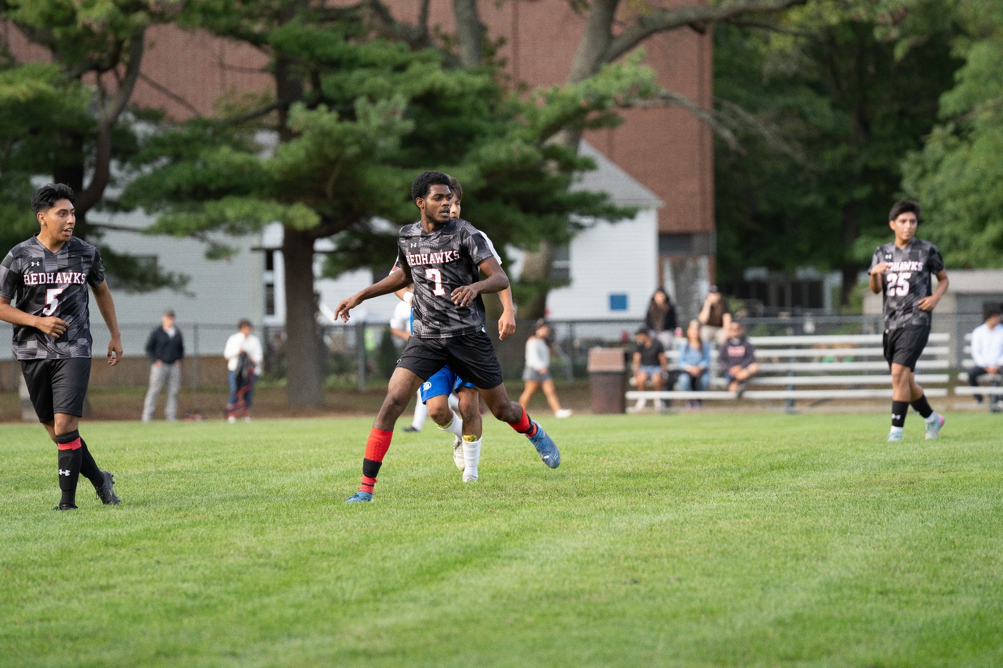 Taylor, Bermeo, Parraga-Vera