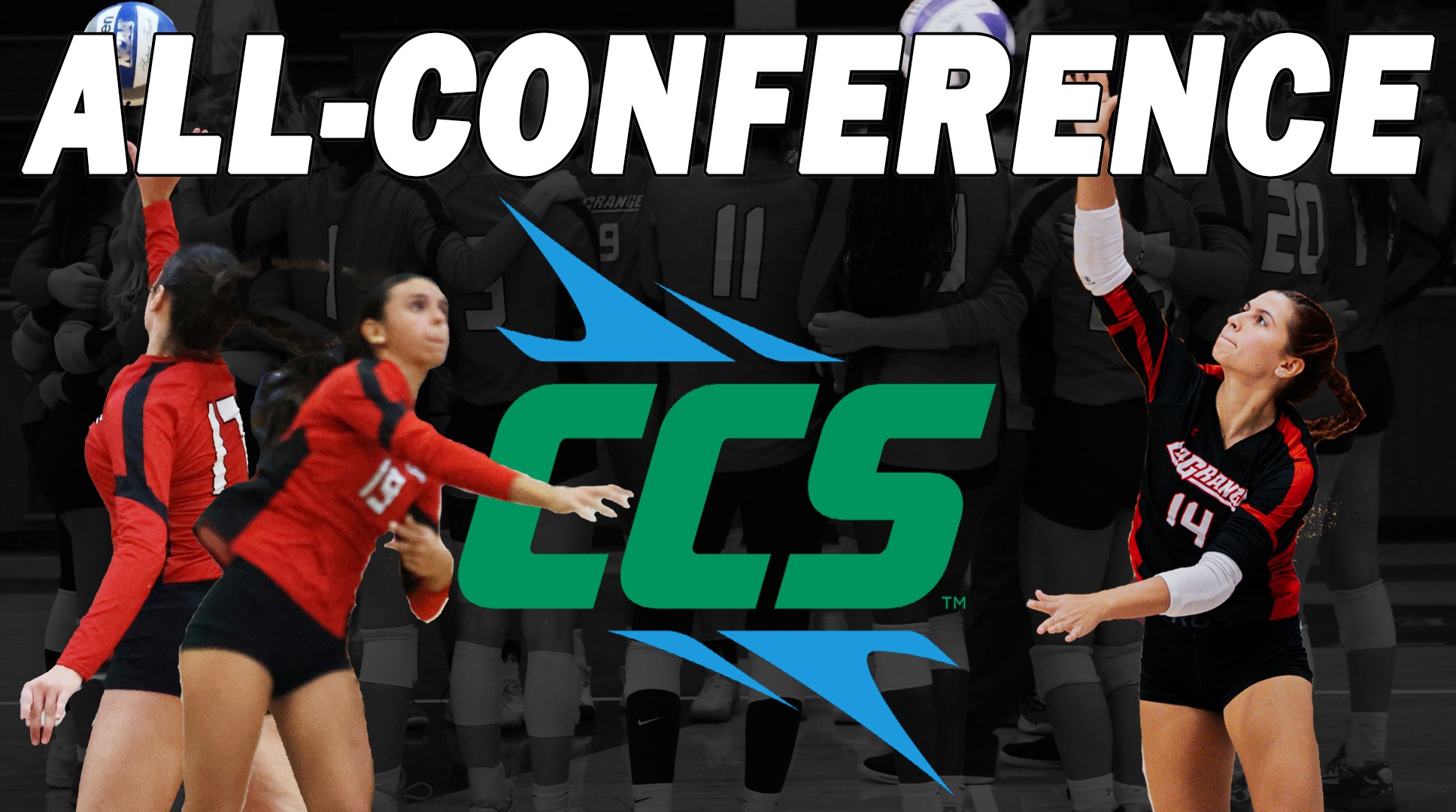 Three Panthers Earn CCS Women’s Volleyball All-Conference Honors