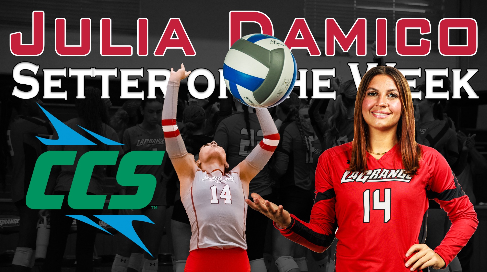 Damico Nabs CCS Women’s Volleyball Setter of the Week