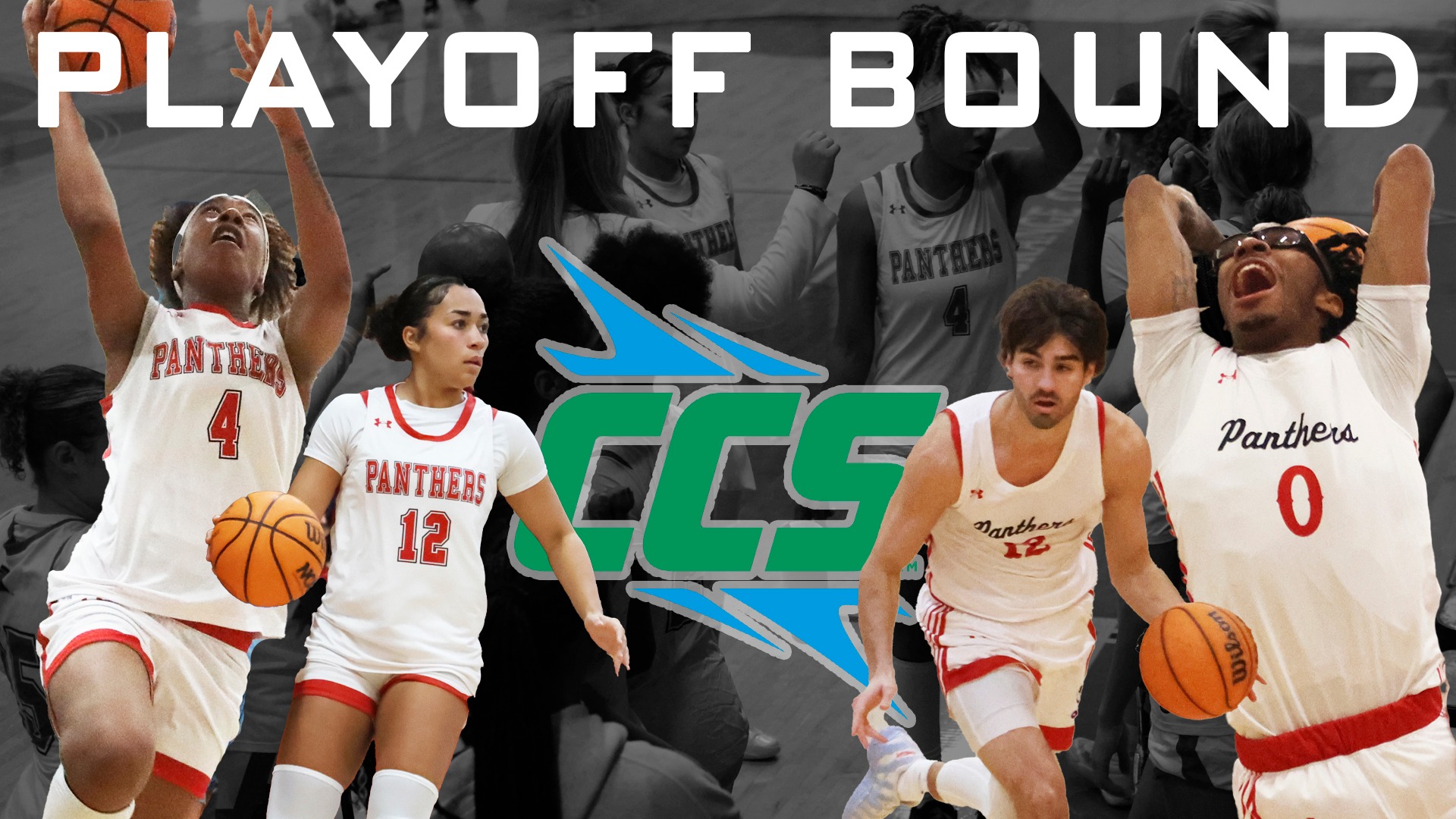 Tickets Punched: Panthers Prepare For CCS Basketball Playoffs