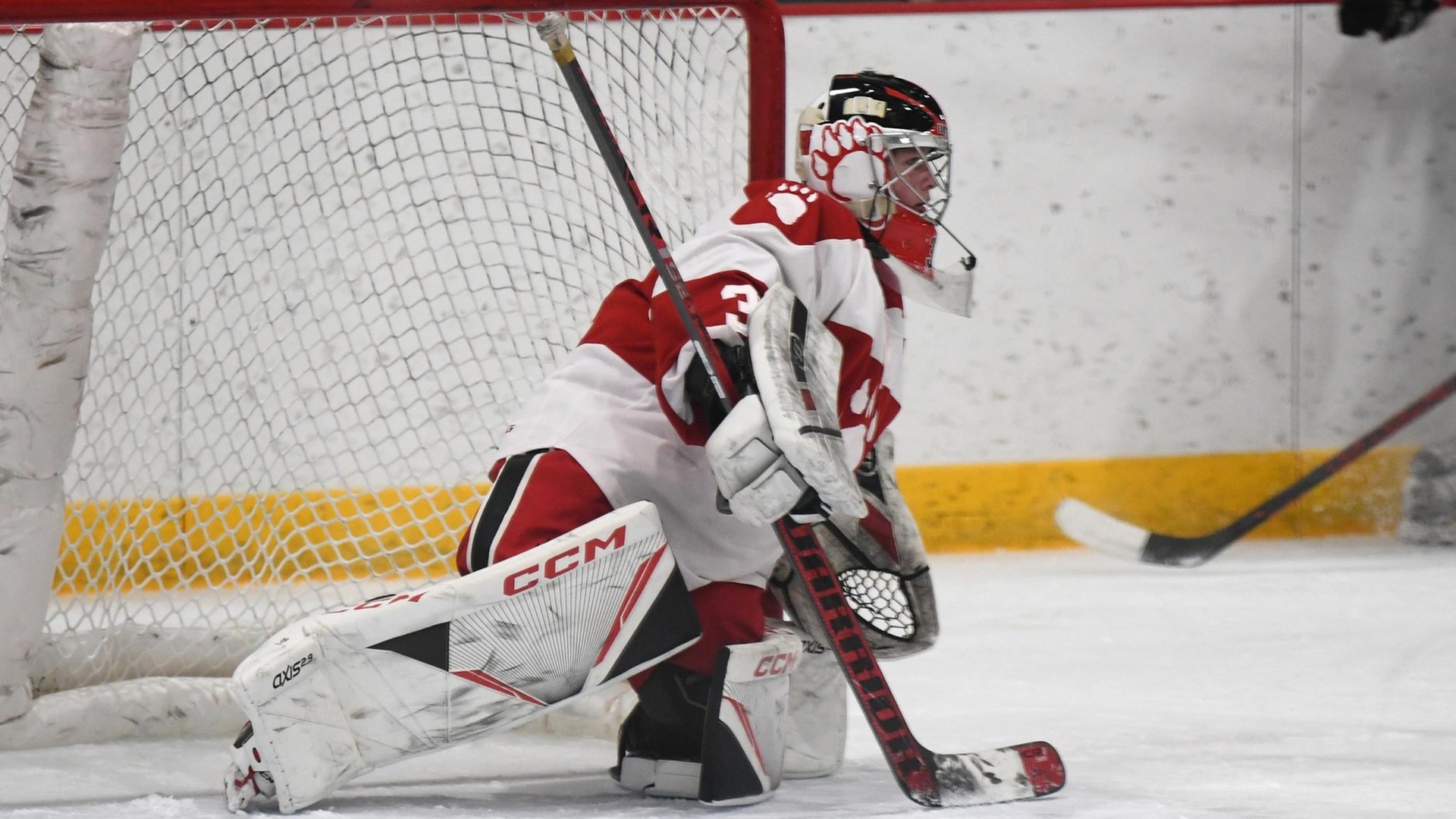 Foresters Fall at Nation's EighthRanked Team Lake Forest College