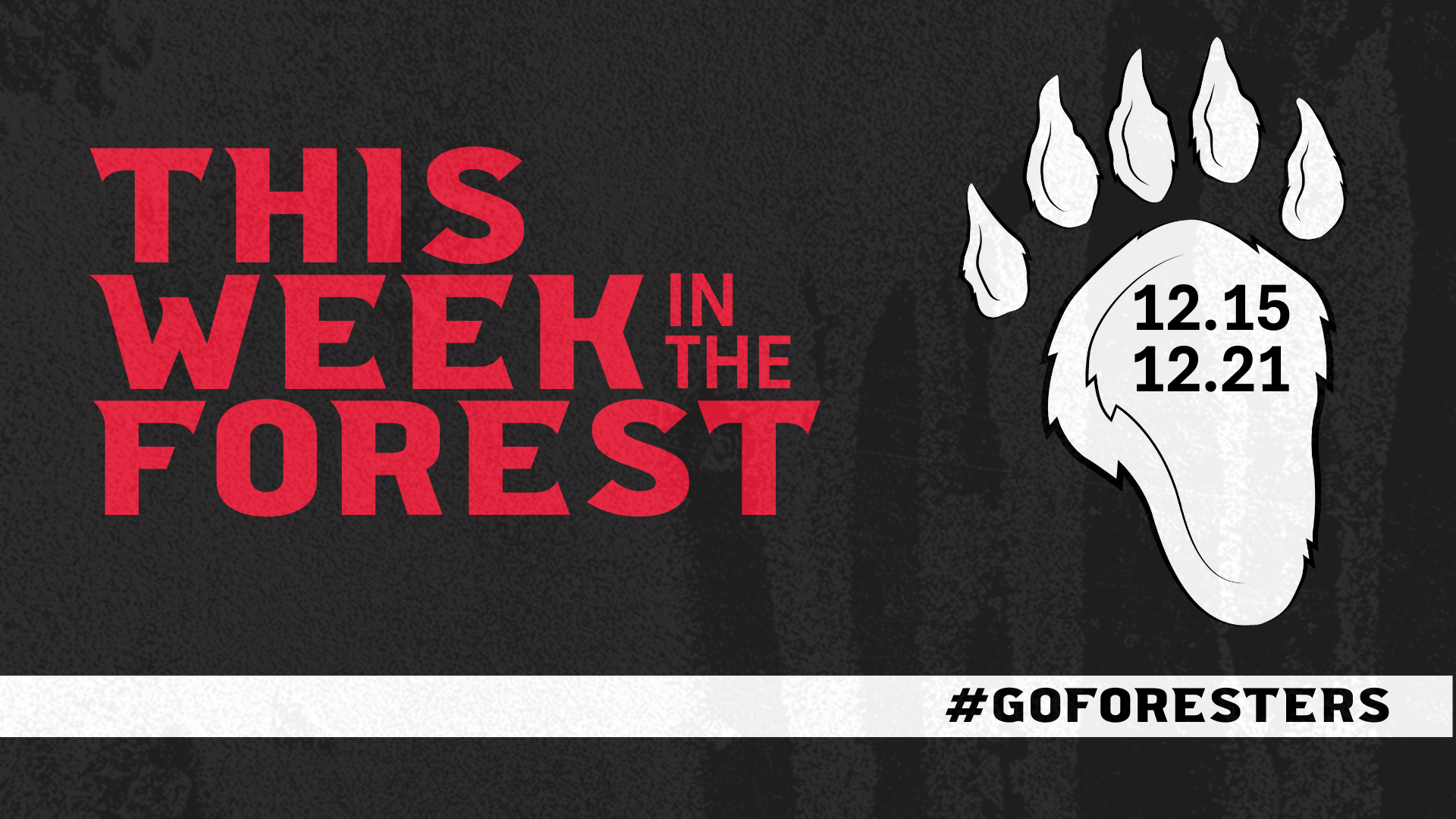 This Week in The Forest