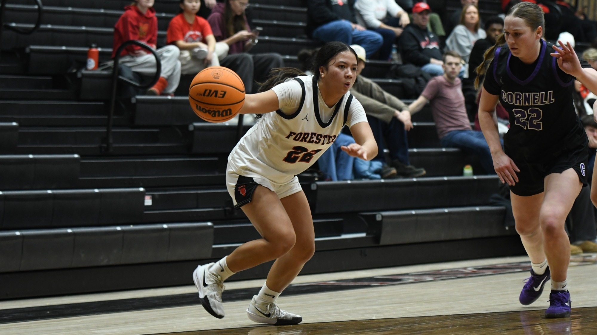 Ariana Ferreira-Torralba
