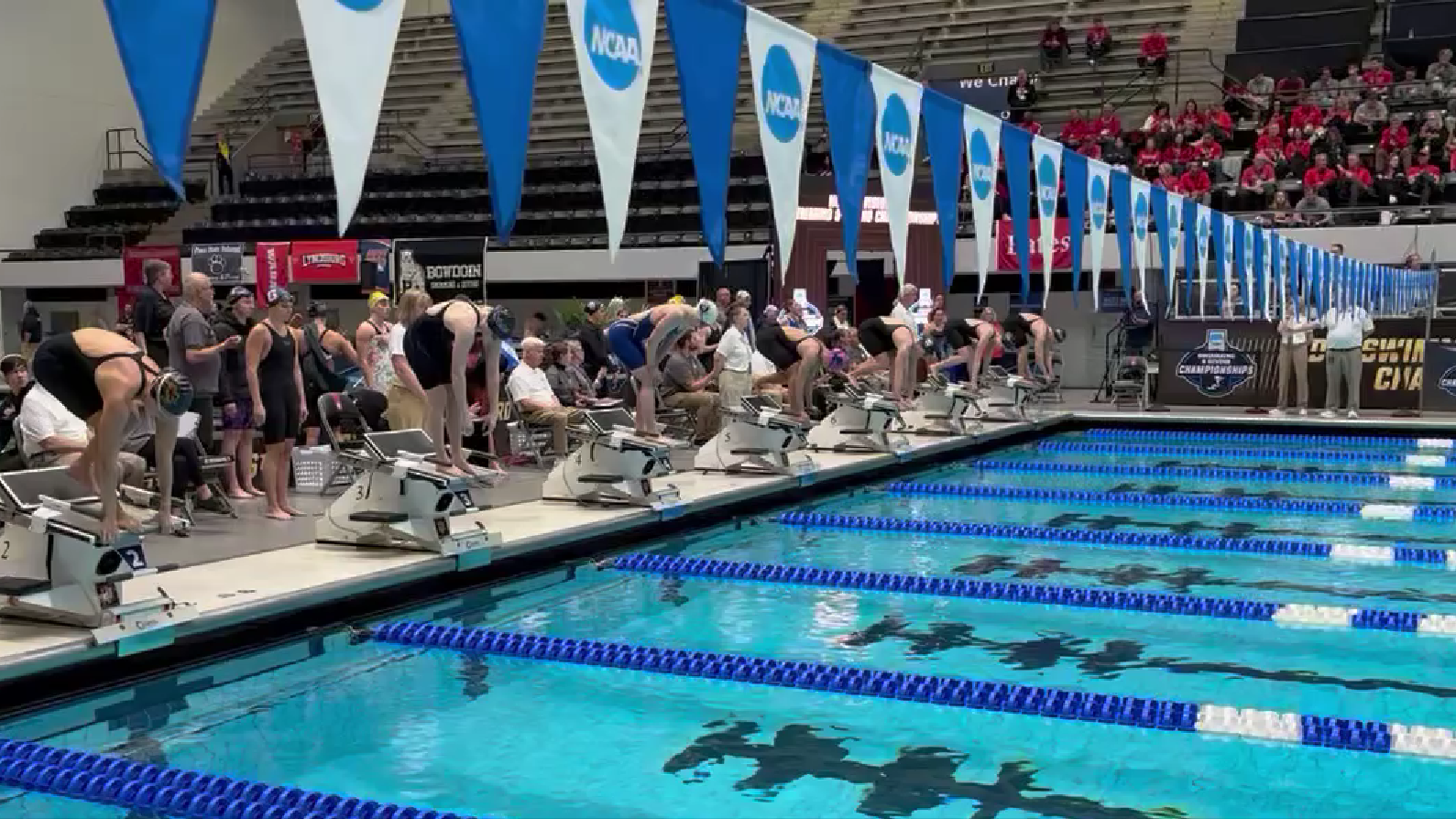 Isabella Rozenbergas